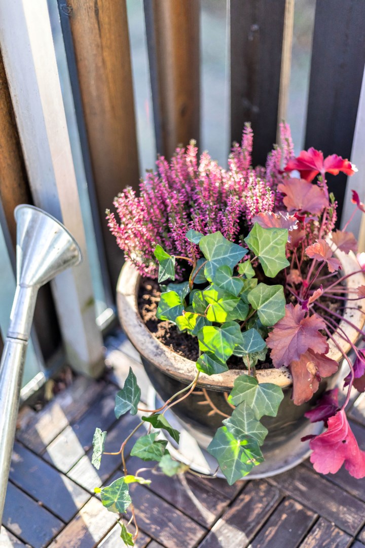 Bostadsbild från Frodegatan 33A, Såld i Fålhagen, Uppsala