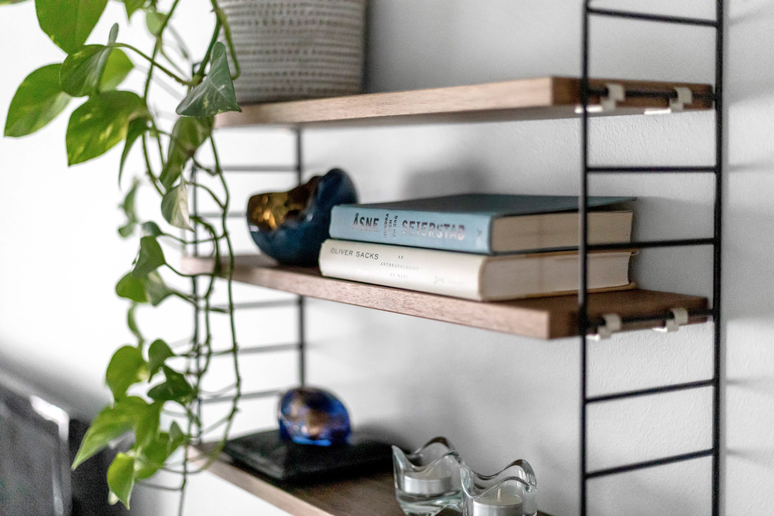 Bostadsbild från Sturegatan 3, Kommande i Främre Luthagen, Uppsala