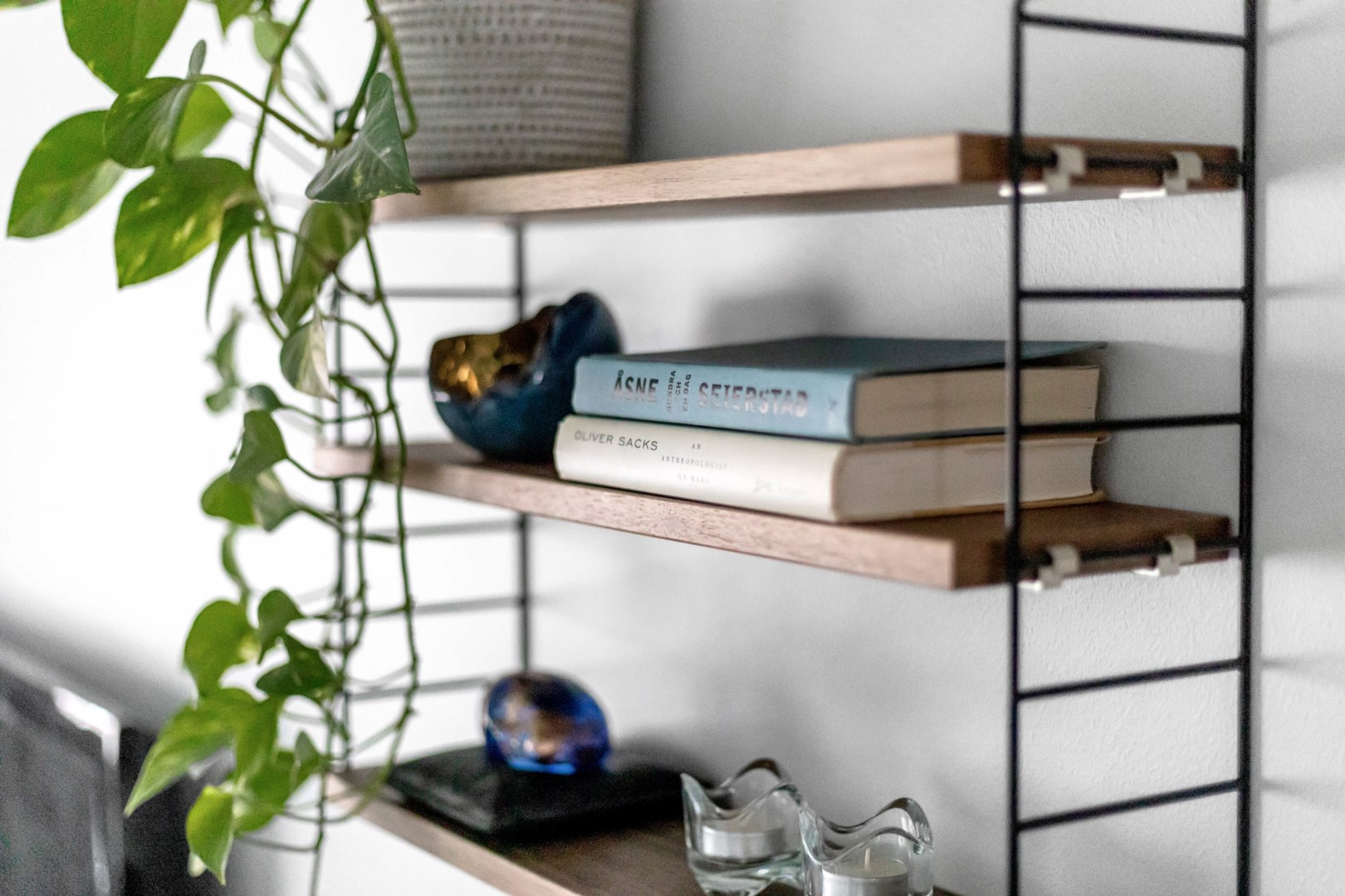 Bostadsbild från Sturegatan 3, Kommande i Främre Luthagen, Uppsala