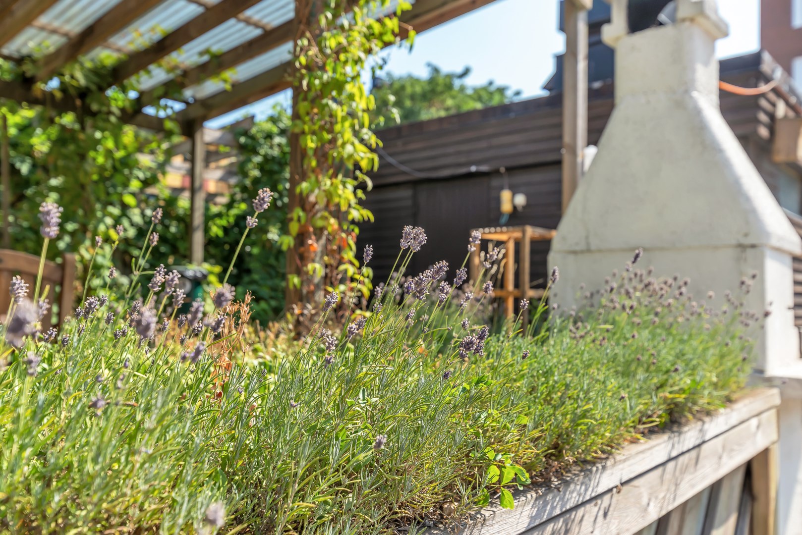 Bostadsbild från Sturegatan 3, Kommande i Främre Luthagen, Uppsala