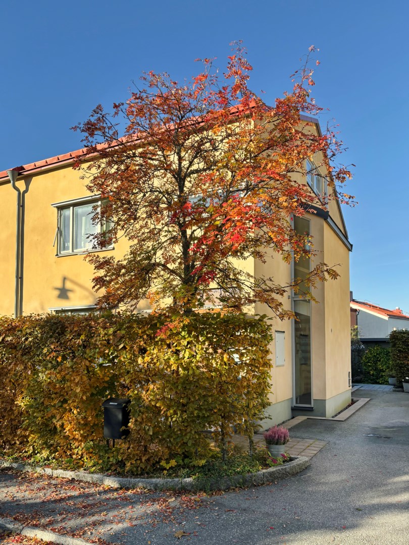 Bostadsbild från Mosskroken 14, Kommande i Bromma - Stora Mossen, Stockholm