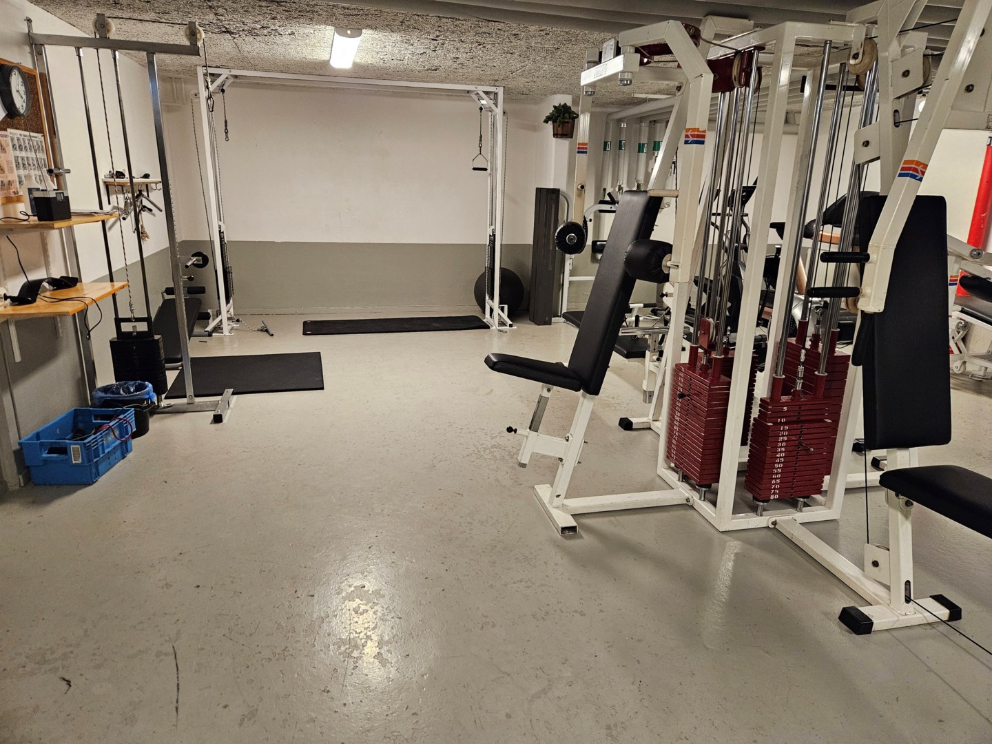 Föreningens gym
