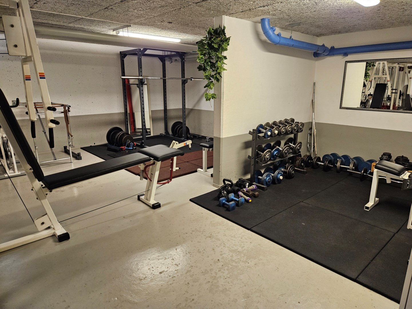 Föreningens gym