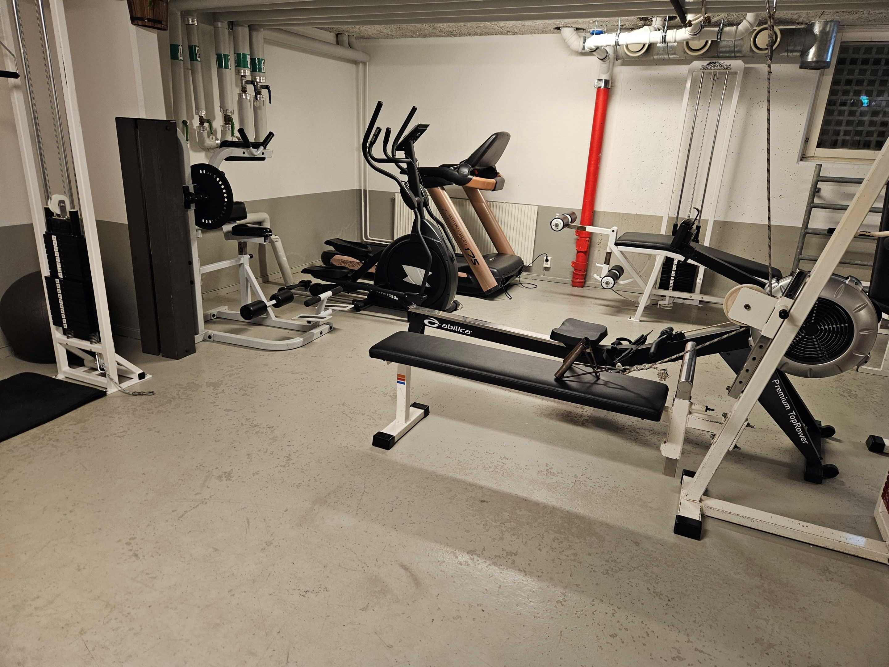 Föreningens gym