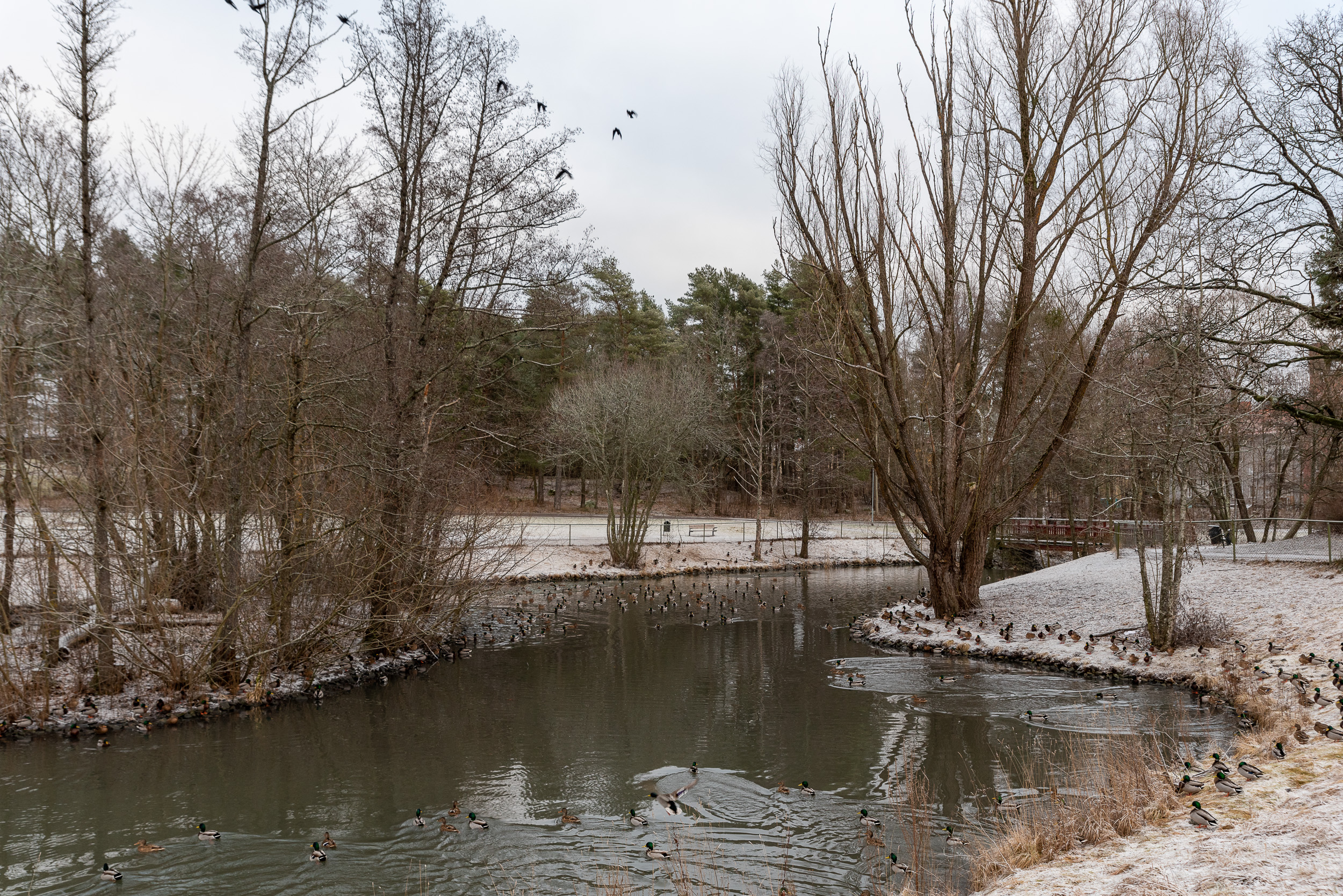 Bostadsbild från Siggesborgsgatan 7B, Kommande i Gideonsberg, Västerås
