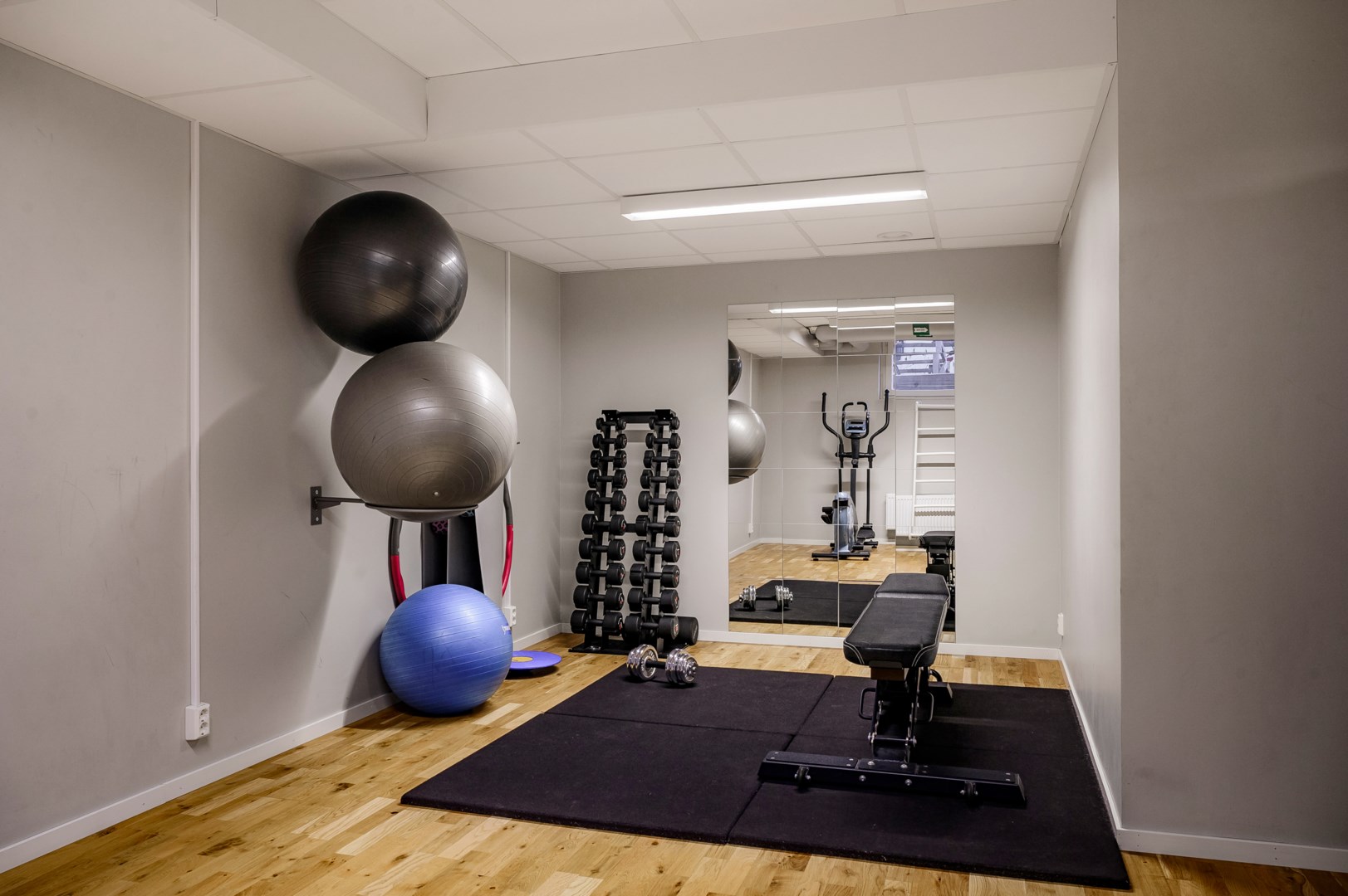 Föreningens gym