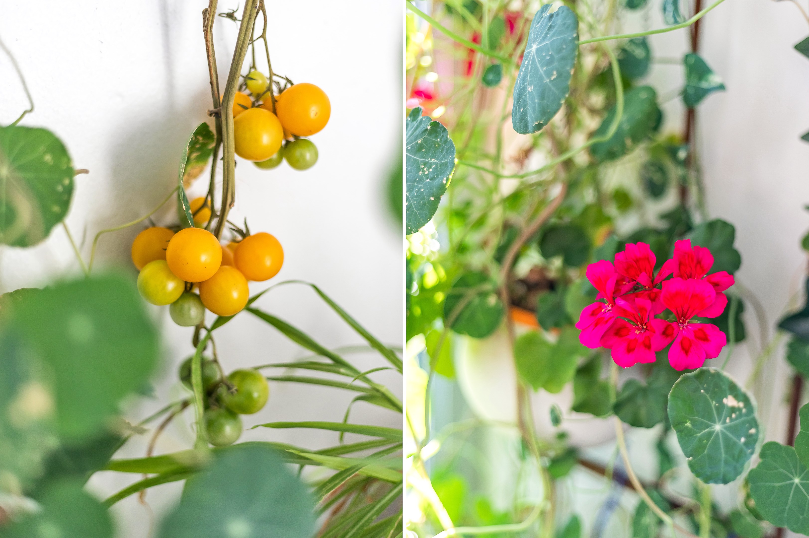 Bostadsbild från Fyrislundsgatan 26, Såld i Årsta, Uppsala