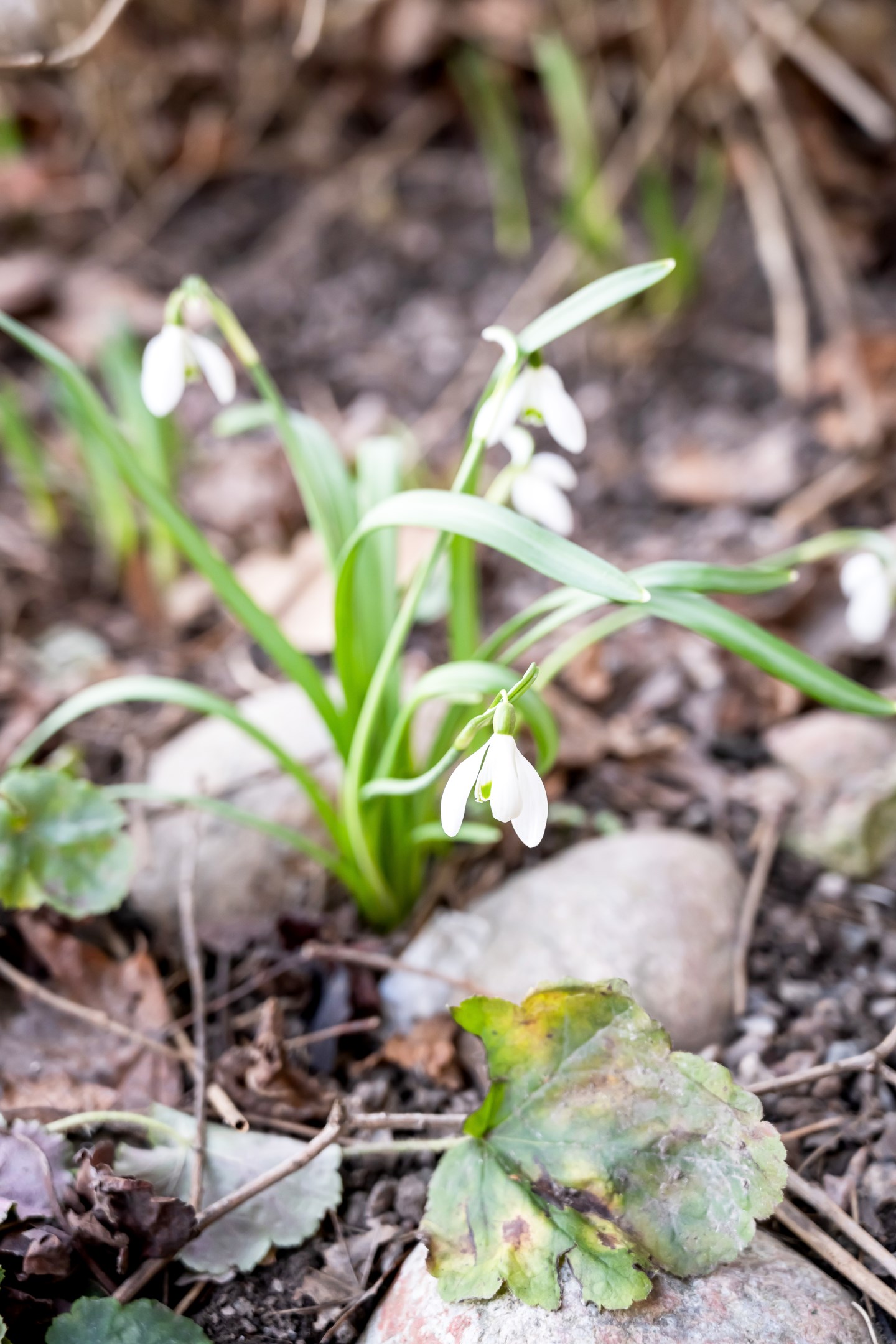 Bostadsbild från Karin Boyegatan 14G, Såld i Löten, Uppsala