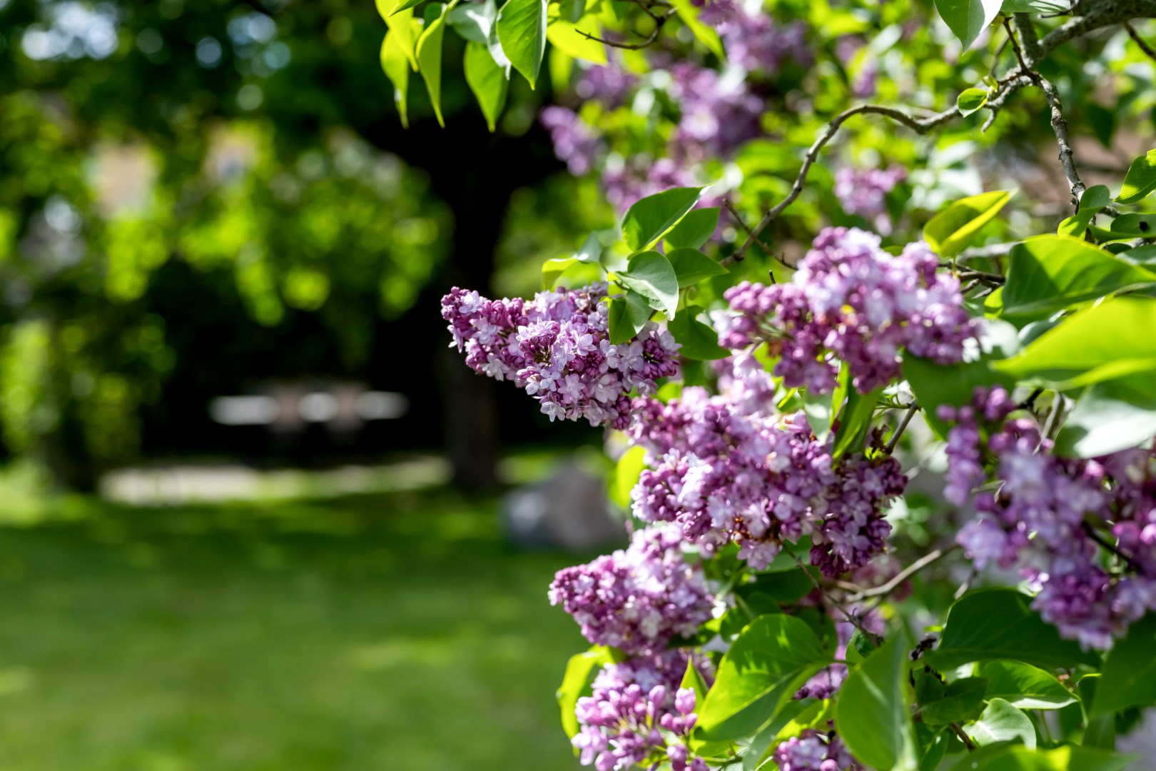 Bostadsbild från Ymergatan 15 F, Kommande i Fålhagen, Uppsala