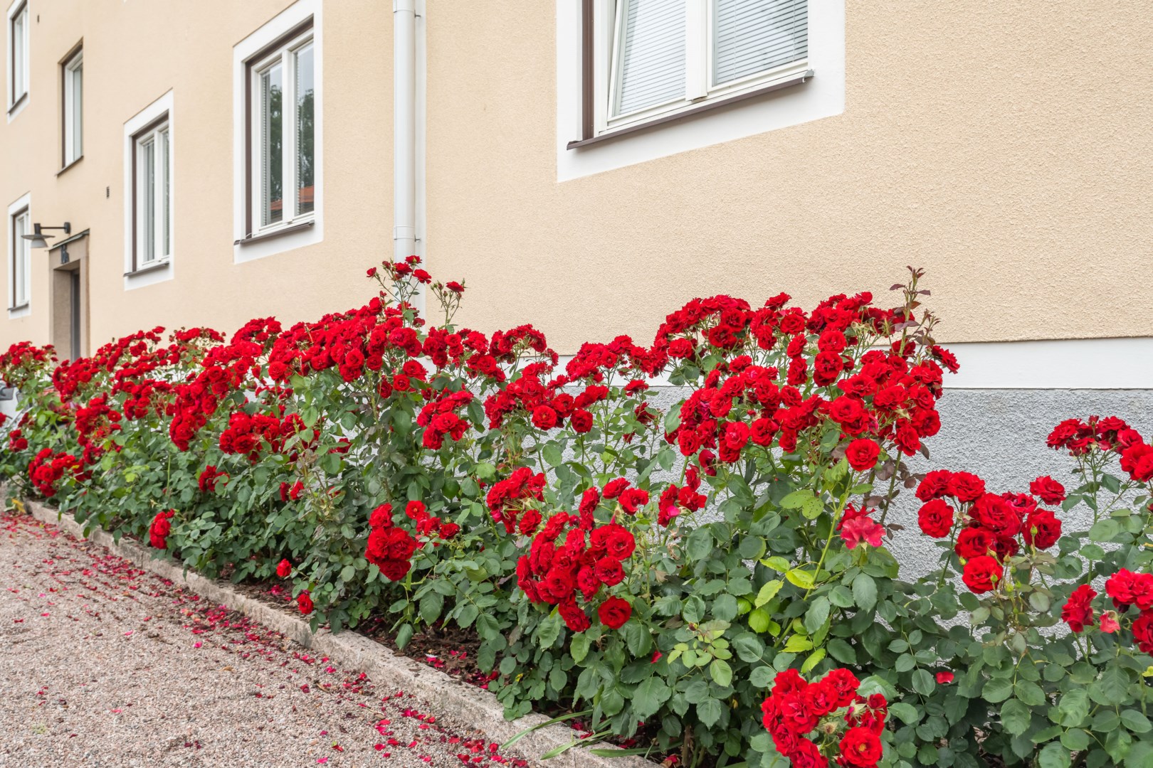 Bostadsbild från Torkelsgatan 16 B, Kommande i Fålhagen, Uppsala