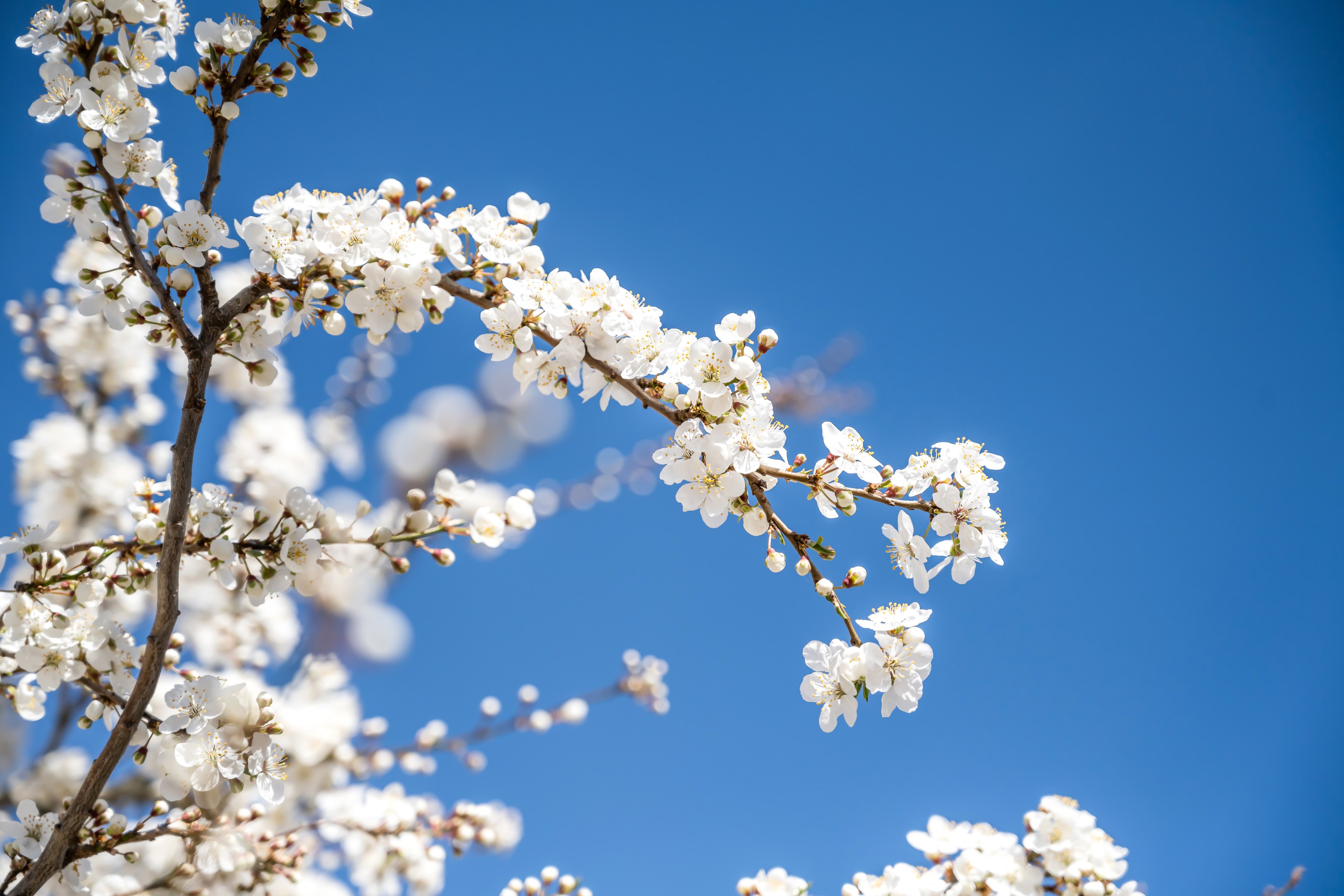 Bostadsbild från Cellovägen 124N, Såld i Gottsunda, Uppsala