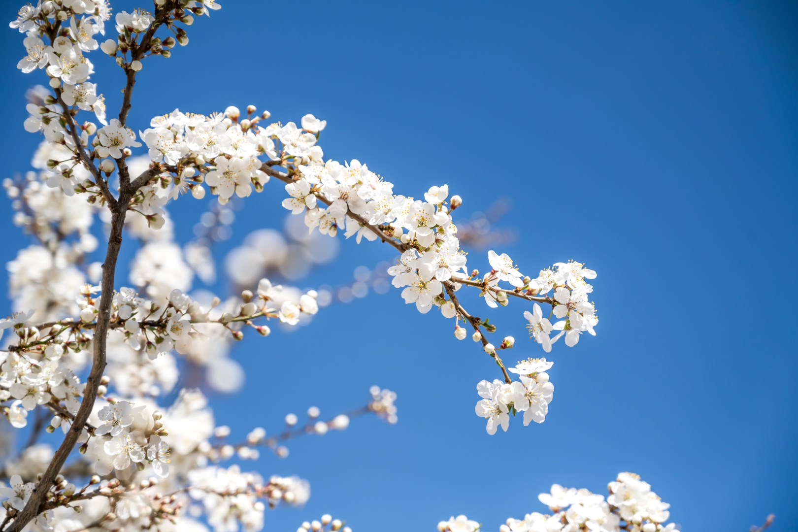 Bostadsbild från Cellovägen 124N, Såld i Gottsunda, Uppsala