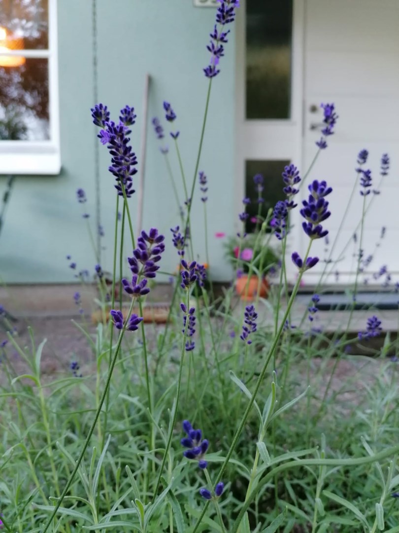 Bostadsbild från Eksoppsvägen 35, Såld i Norby, Uppsala