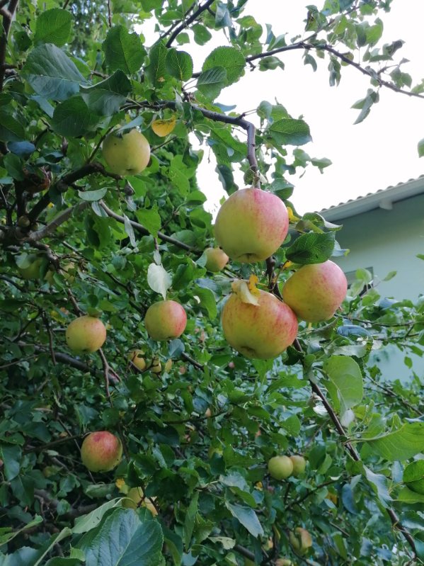 Bostadsbild från Eksoppsvägen 35, Såld i Norby, Uppsala