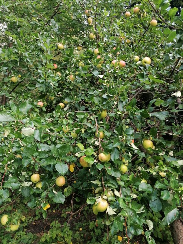 Bostadsbild från Eksoppsvägen 35, Såld i Norby, Uppsala