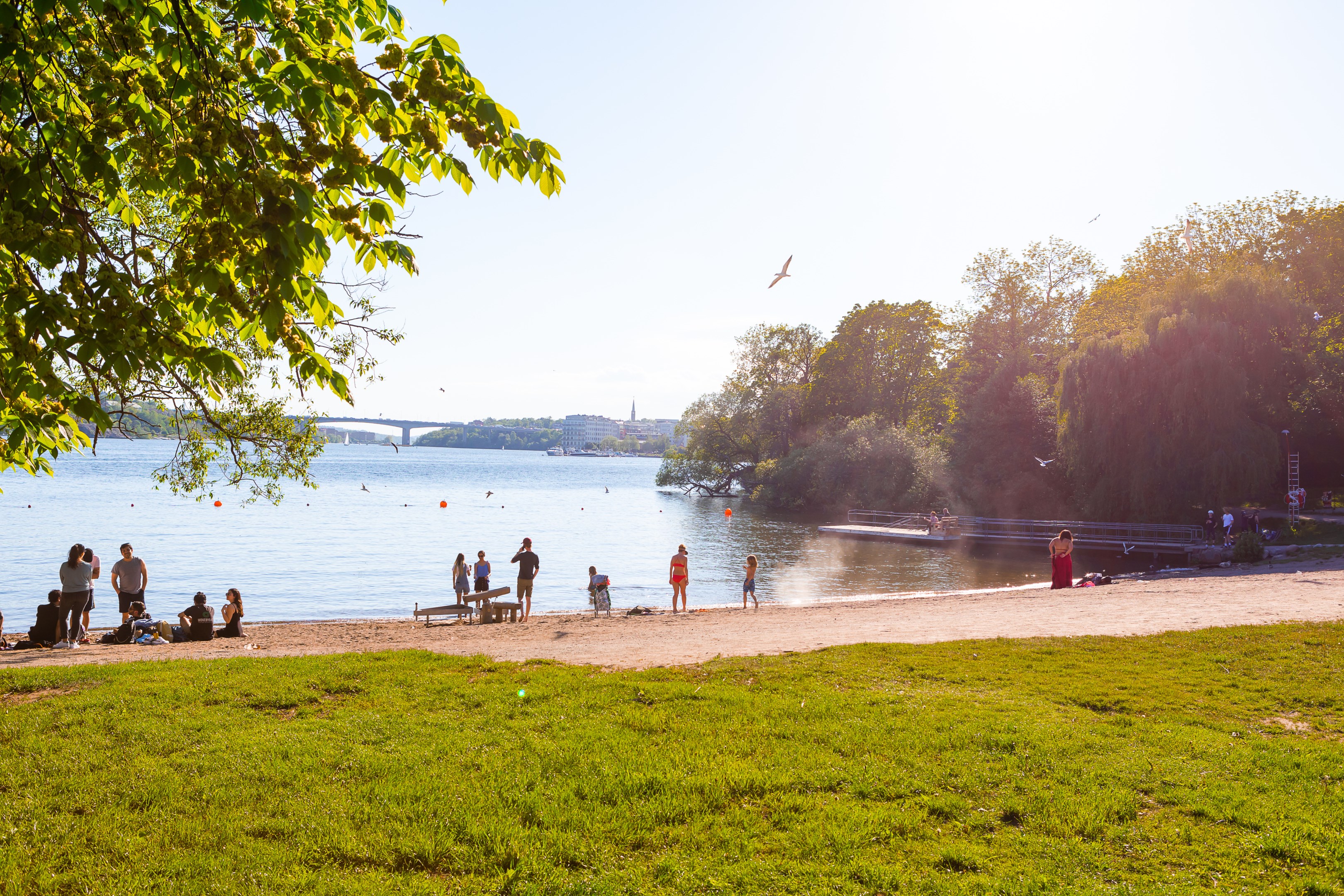 Bostadsbild från Sankt Göransgatan 143F, 1306, Till salu i Kungsholmen - Stadshagen, Stockholm