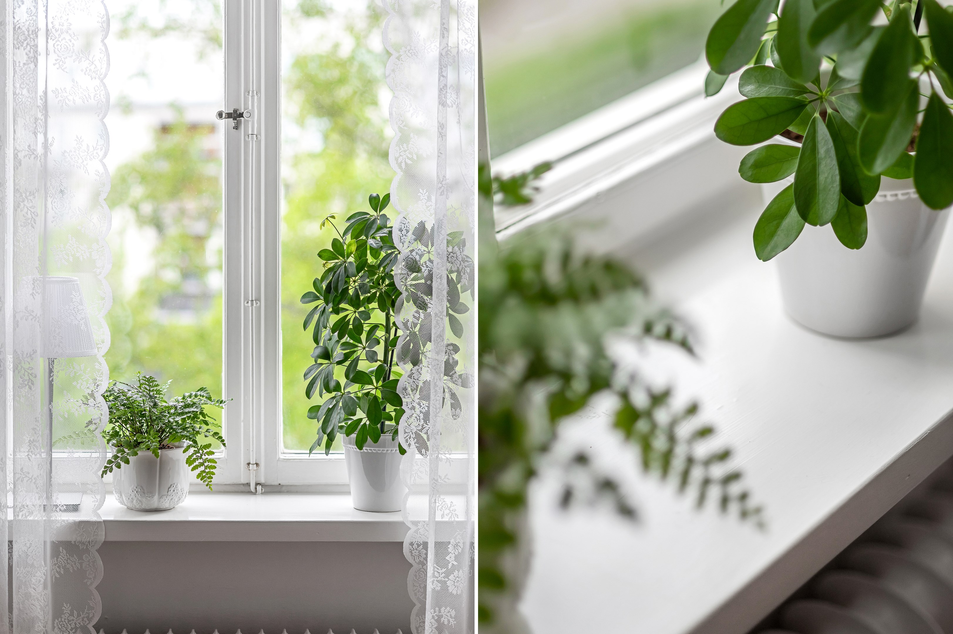 Bostadsbild från Väderkvarnsgatan 11B, Till salu i Höganäs, Uppsala