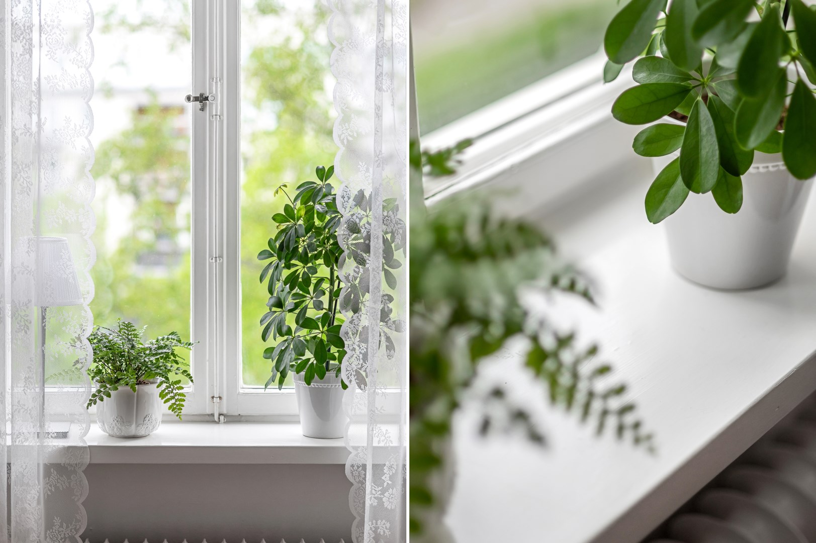 Bostadsbild från Väderkvarnsgatan 11B, Till salu i Höganäs, Uppsala