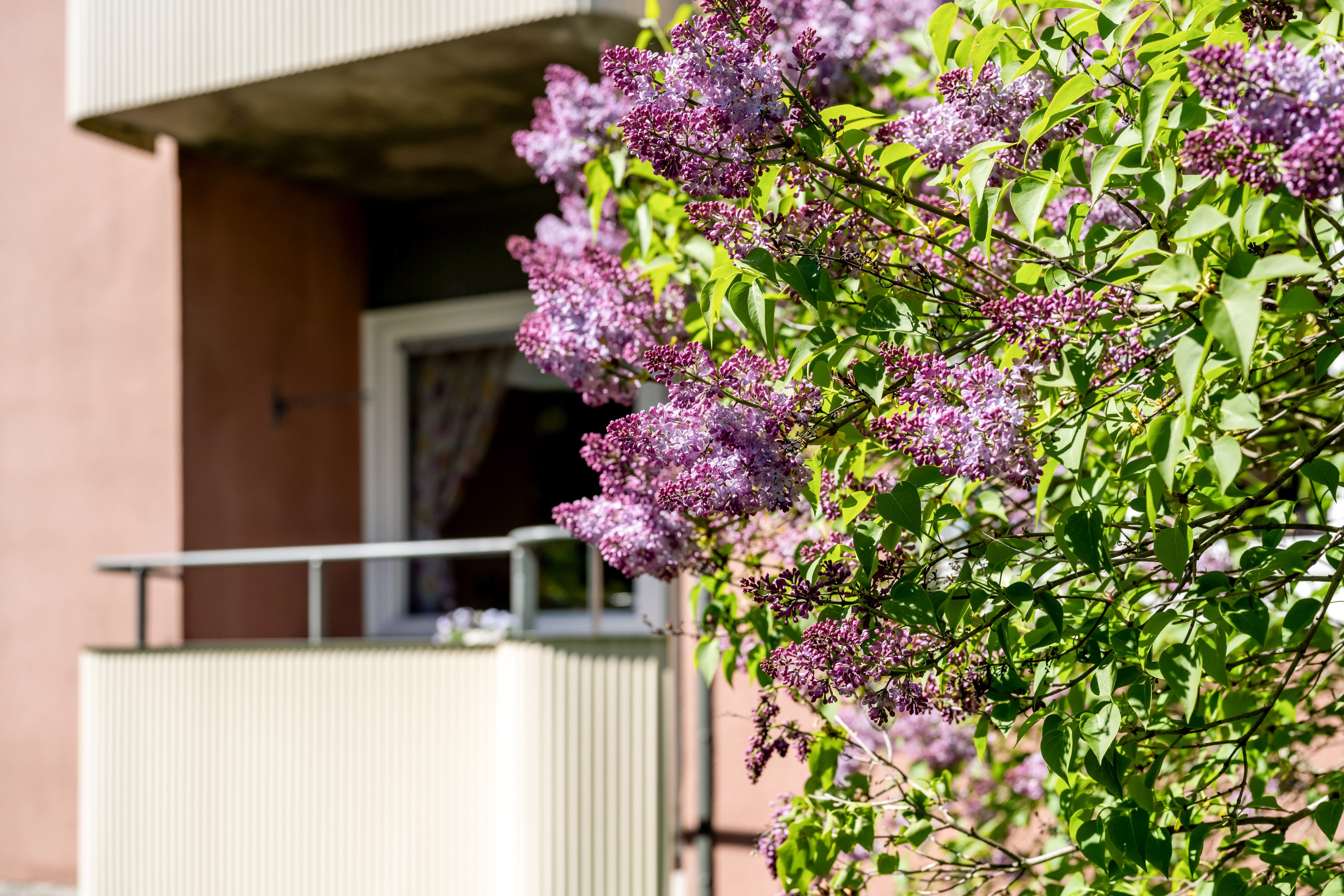 Bostadsbild från Hjalmar Brantingsgatan 27, Till salu i Fålhagen, Uppsala