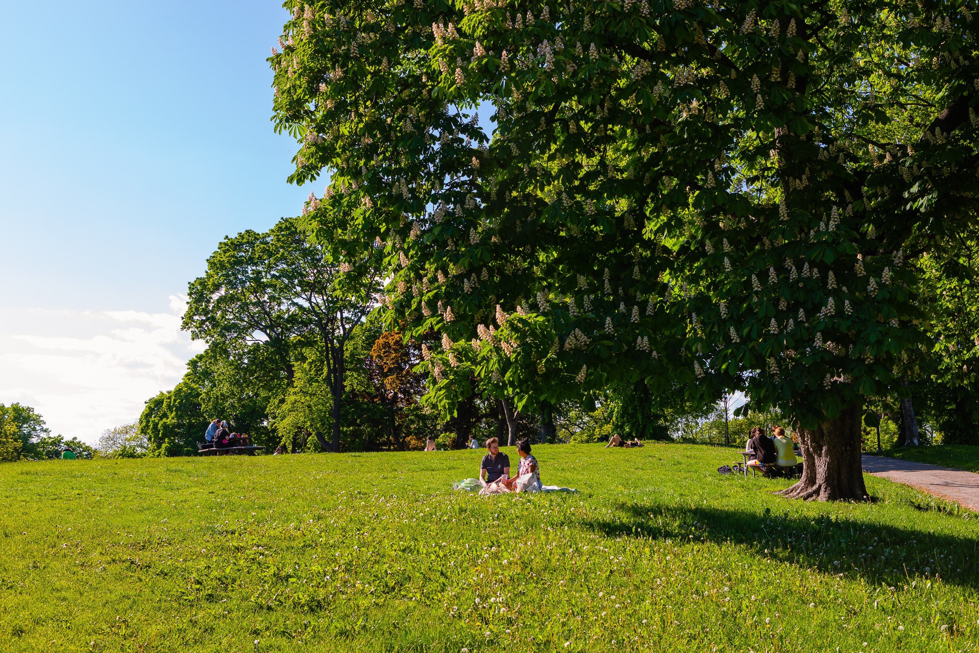 Bostadsbild från Kronobergsgatan 5, Kommande i Kungsholmen - Nedre Kungsholmen, Stockholm