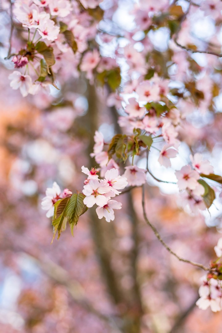 Bostadsbild från Eskilsgatan 8A, Såld i Fålhagen, Uppsala