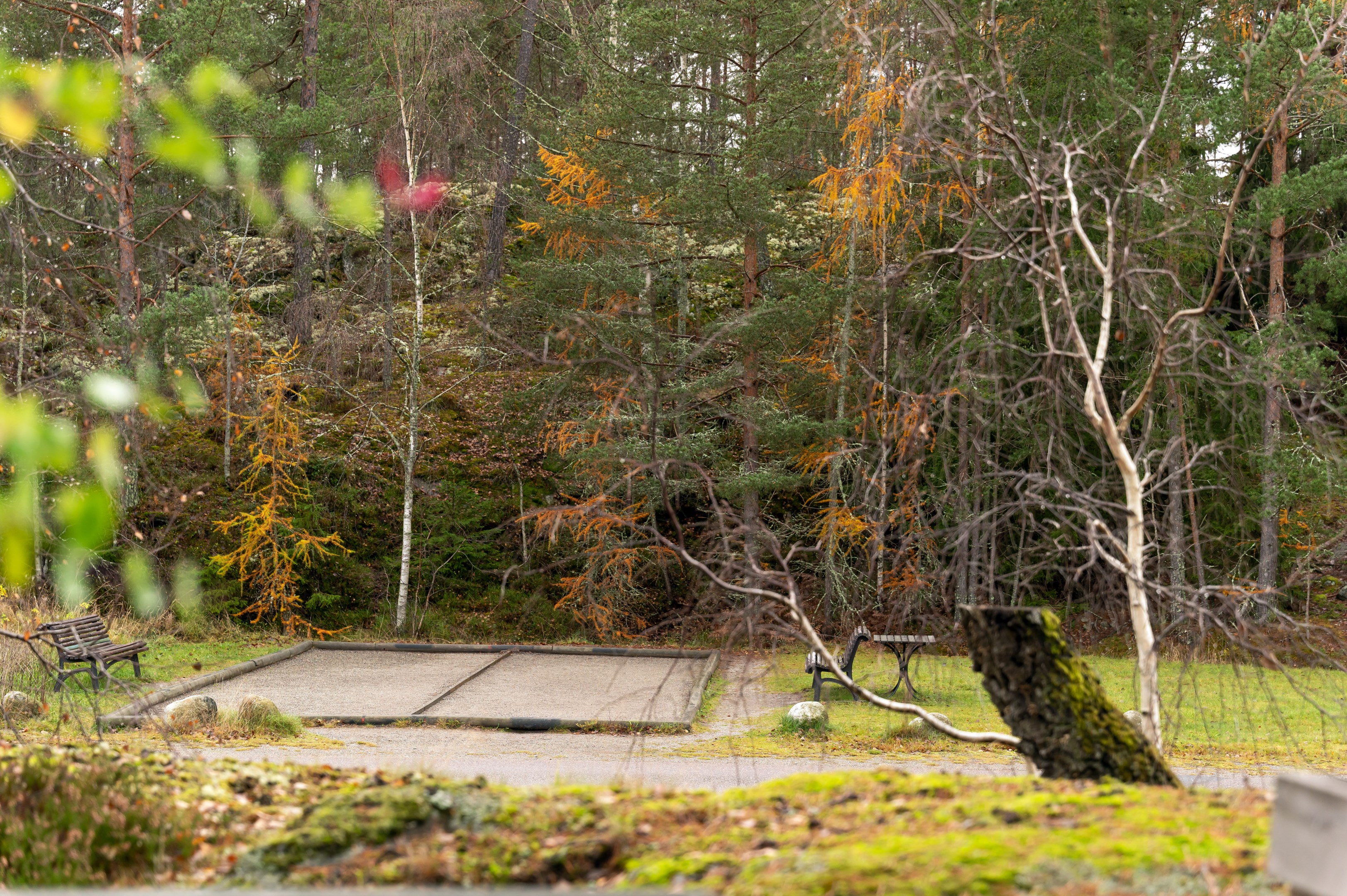 Områdets boulebana intill husen