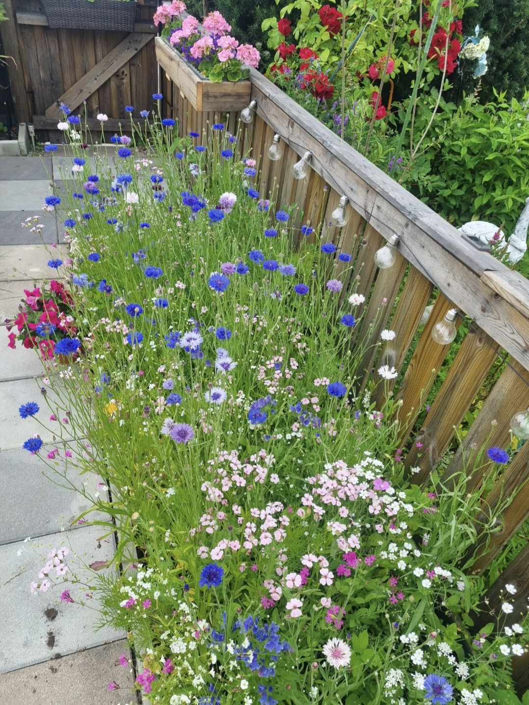 Bostadsbild från Skälbygatan 228, Kommande i Skälby, Västerås