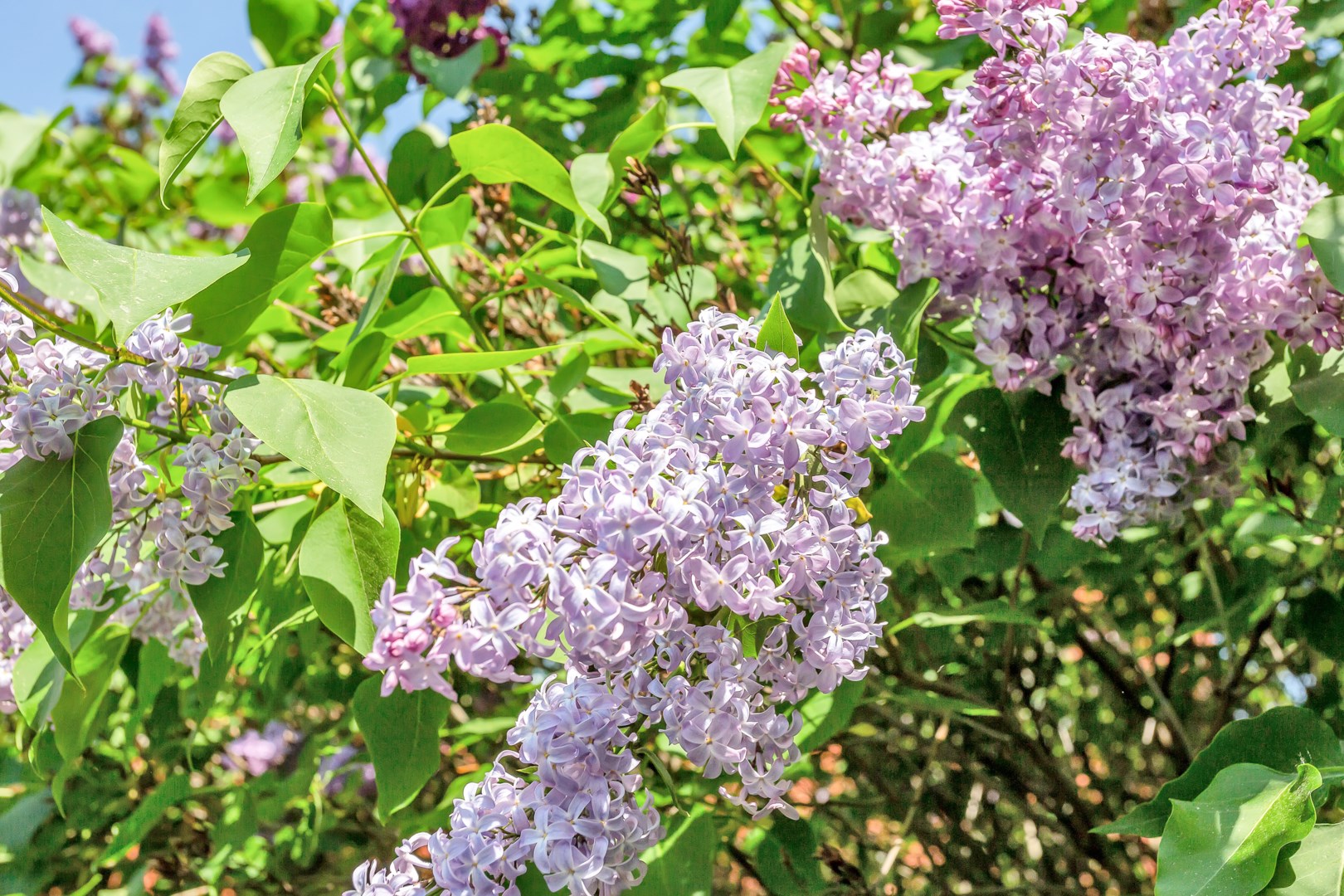 Bostadsbild från Väderkvarnsgatan 15C, Såld i Höganäs, Uppsala