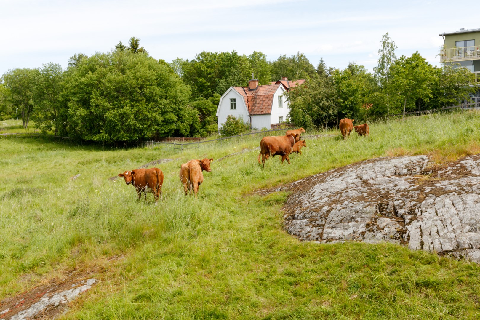Bostadsbild från Solskensgatan 11, Kommande i Gränby, Uppsala