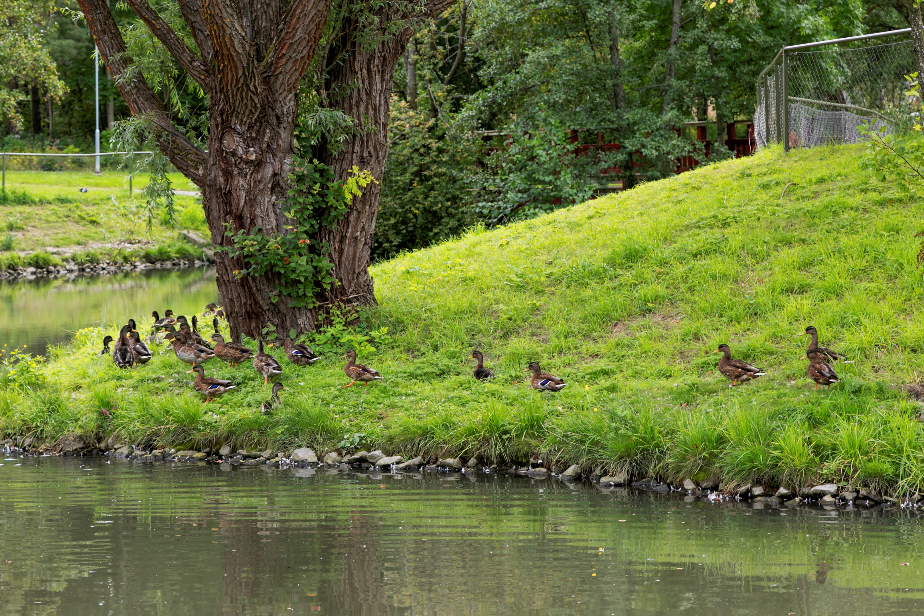 Bostadsbild från Siggesborgsgatan 3A, Kommande i Gideonsberg, Västerås