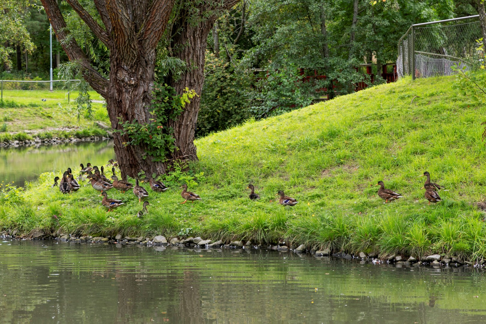 Bostadsbild från Siggesborgsgatan 3A, Till salu i Gideonsberg, Västerås