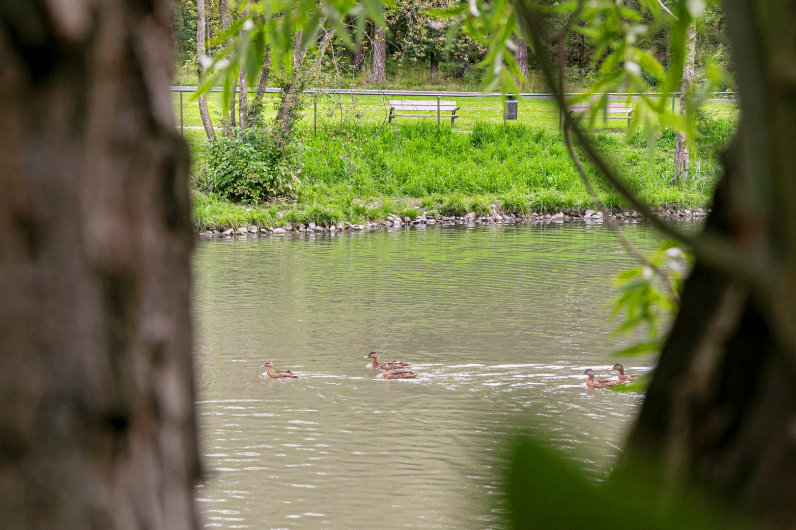 Bostadsbild från Siggesborgsgatan 3A, Till salu i Gideonsberg, Västerås