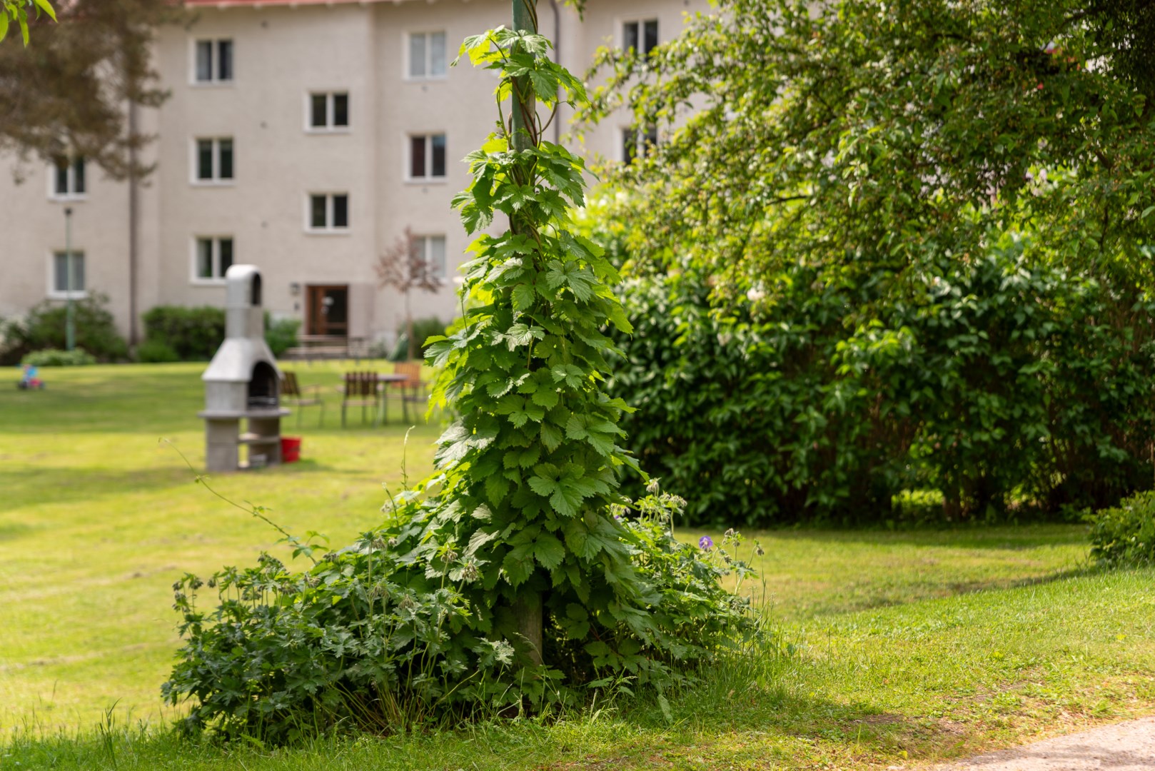 Bostadsbild från Narvavägen 67, Till salu i Krumeluren, Västerås