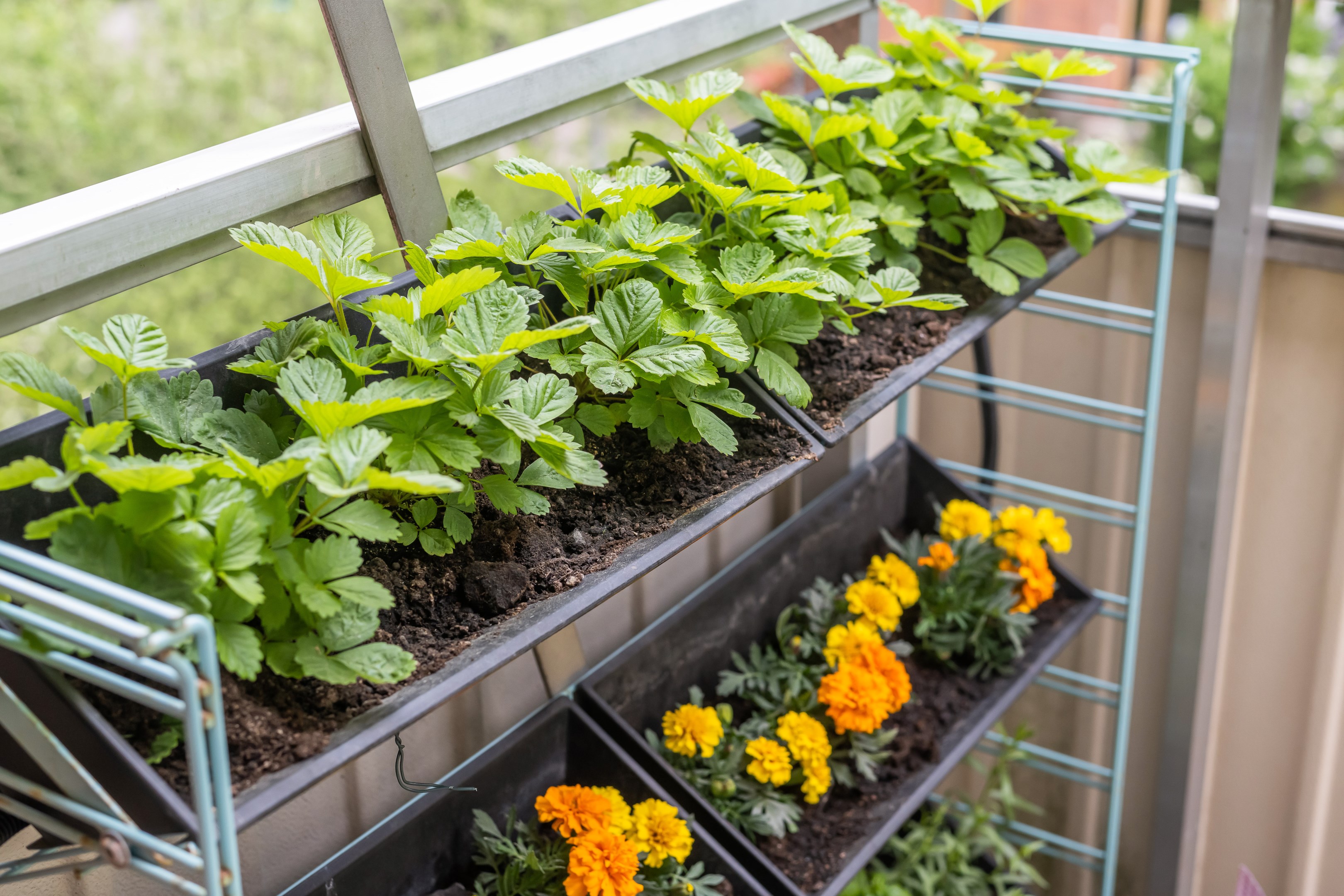 Bostadsbild från Bredmansgatan 9 A, Såld i Luthagen, Uppsala