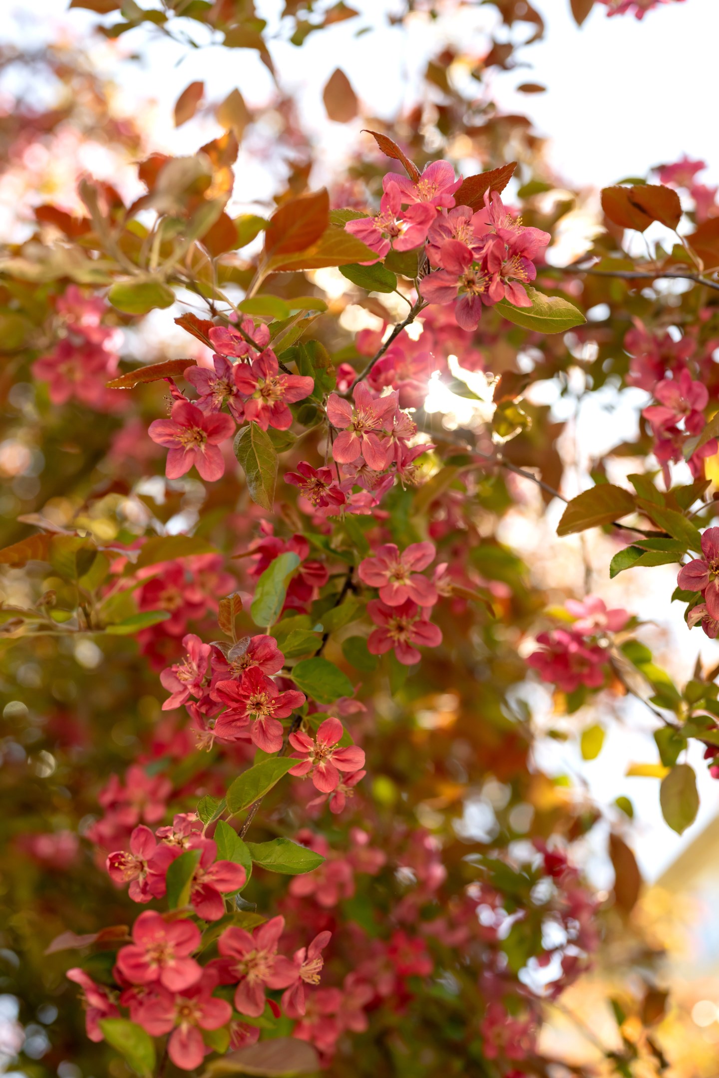 Bostadsbild från Fredsgatan 4A, Såld i Främre Luthagen, Uppsala