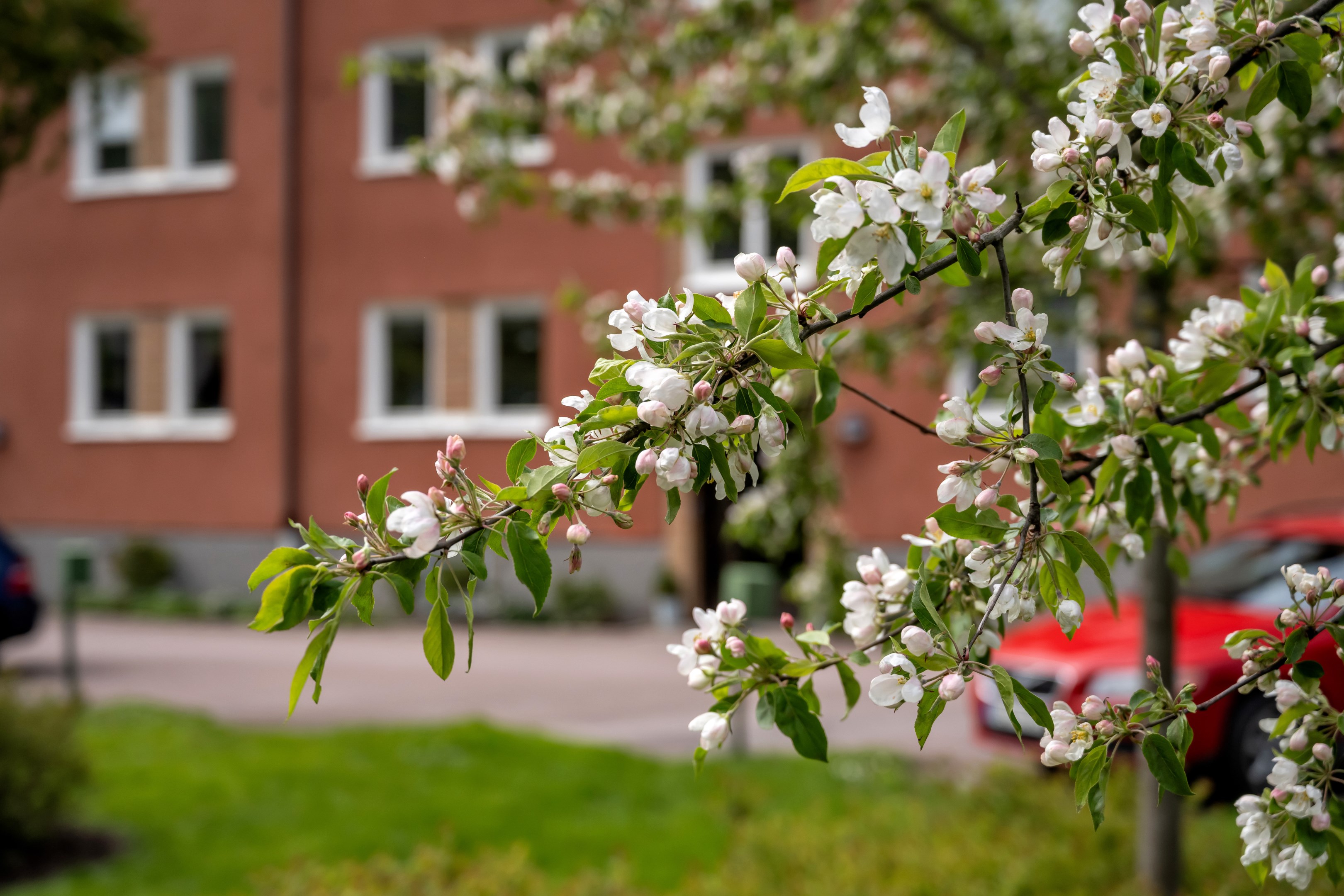 Bostadsbild från Dag Hammarskjölds väg 25A, Såld i Kåbo, Uppsala