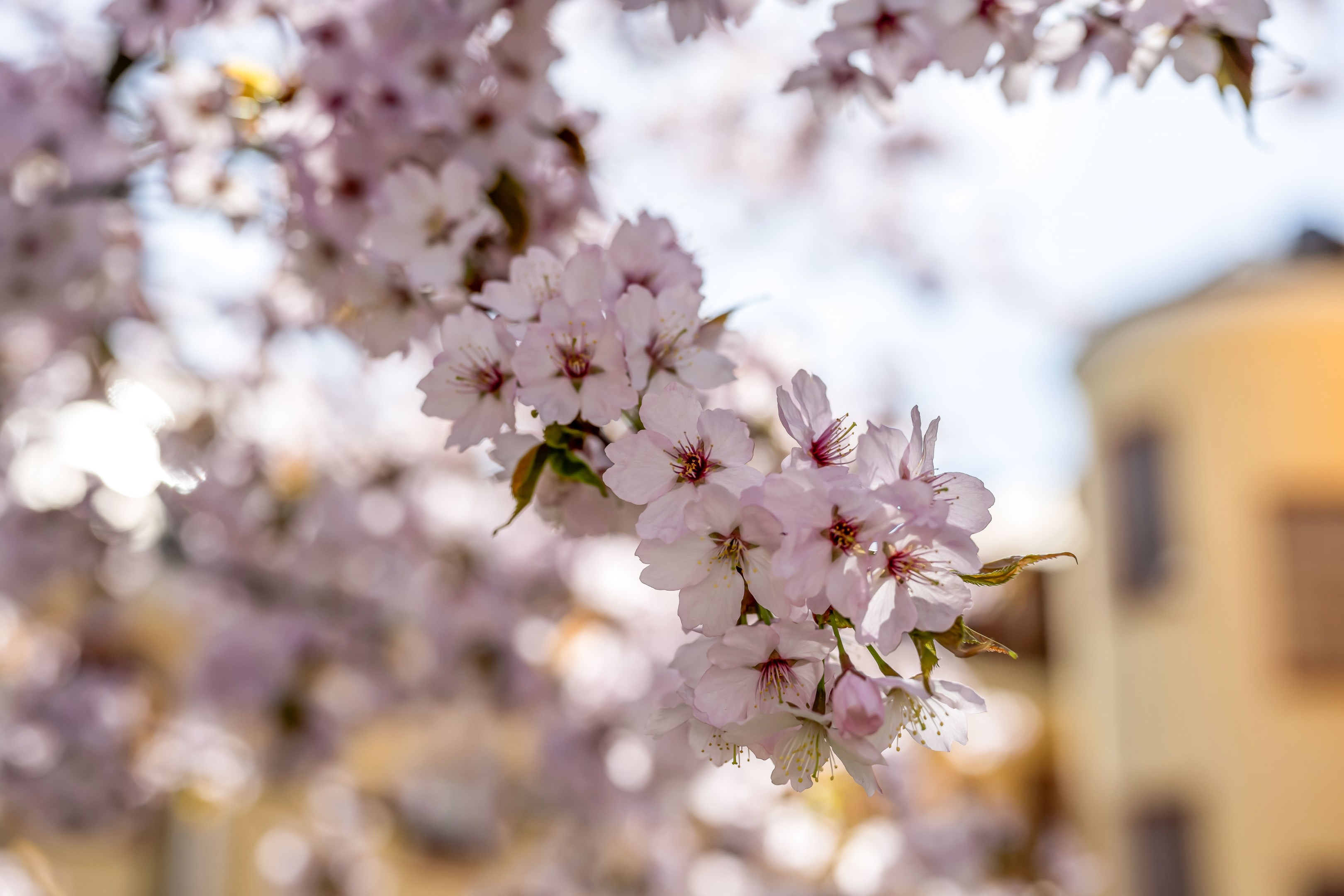 Bostadsbild från Storgatan 22B, Såld i Centrum, Uppsala