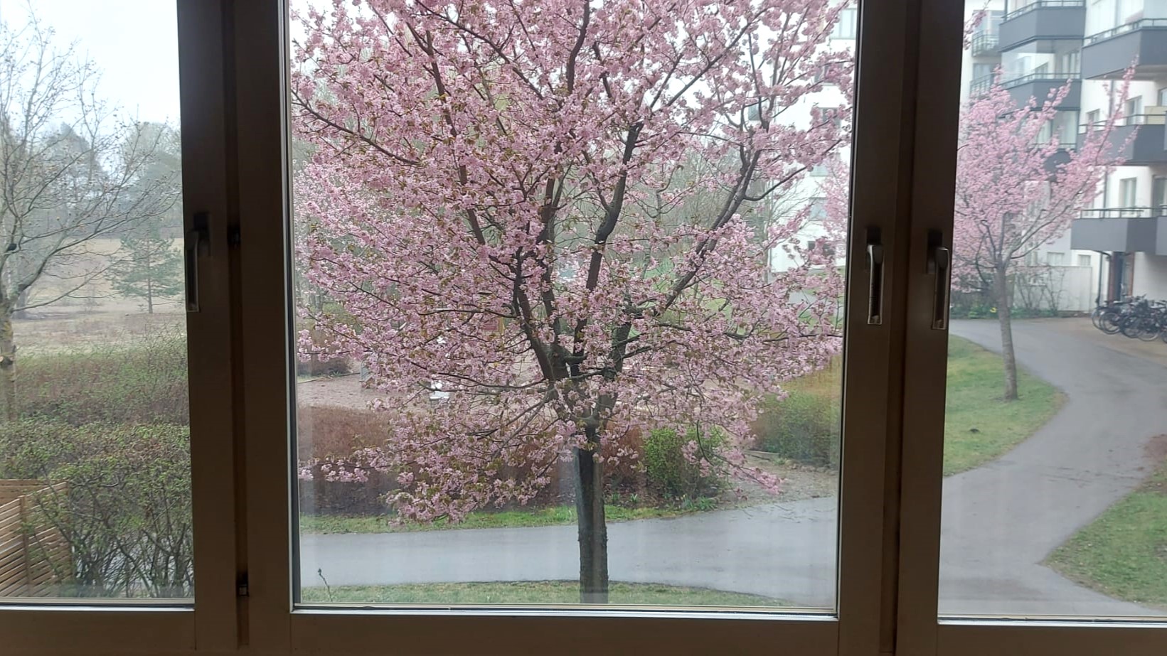 Bostadsbild från Sandgropsgatan 3, Kommande i Svartbäcken, Uppsala