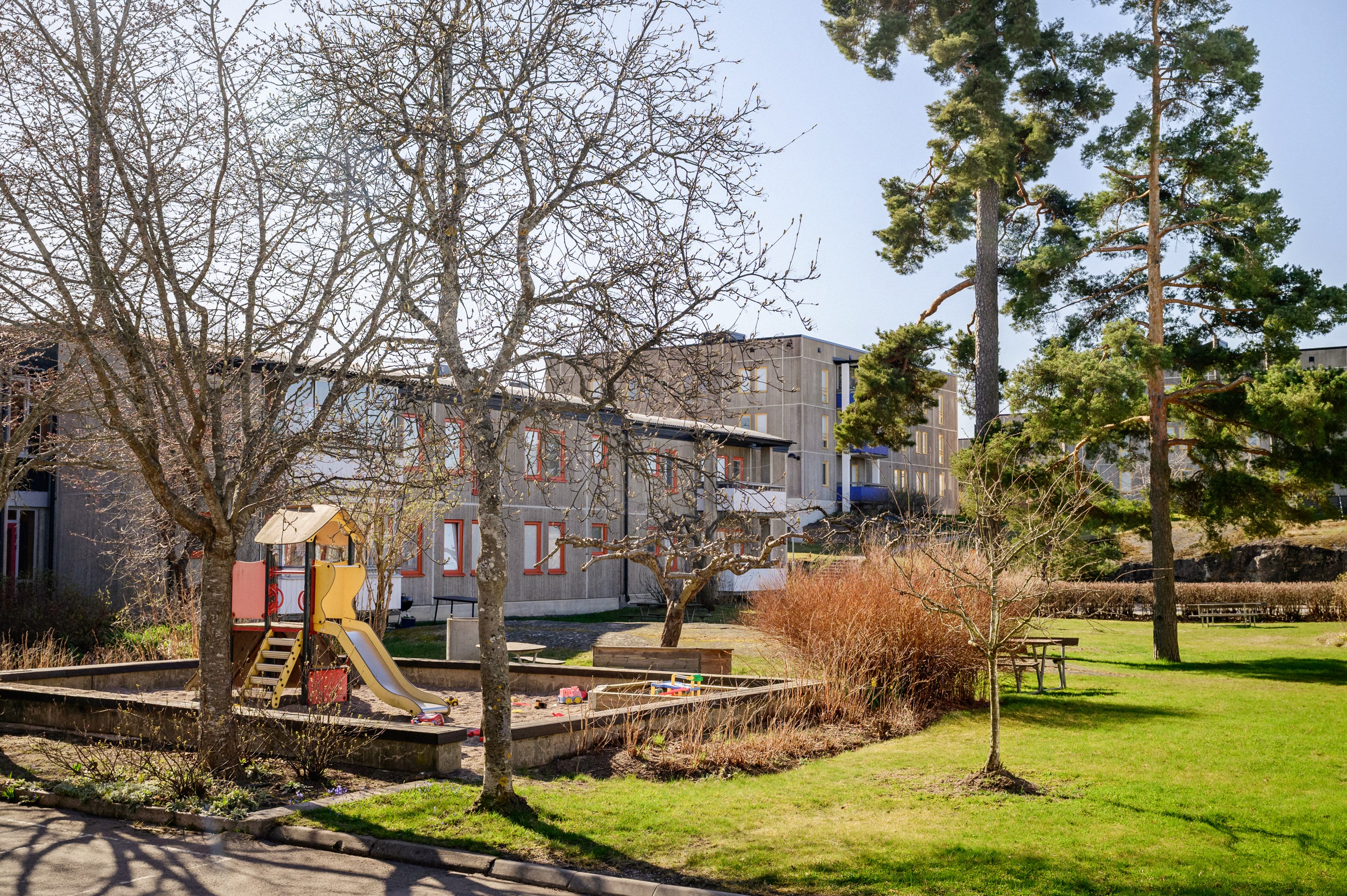 Föreningens hus ramas in av uppvuxen grönska och bilfria gator.