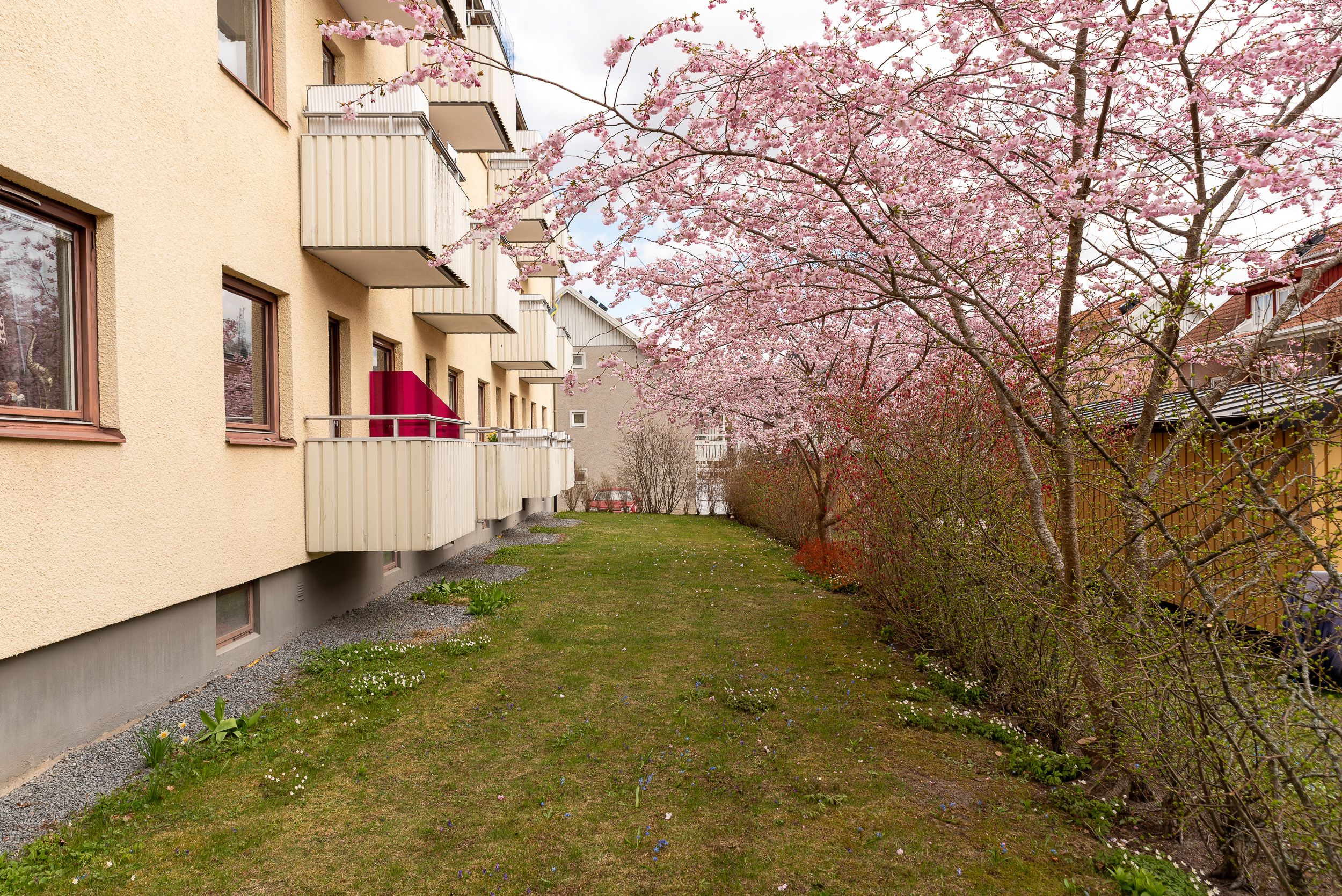 Bostadsbild från Västra bergsgatan 8A, Till salu i Vasastaden, Västerås