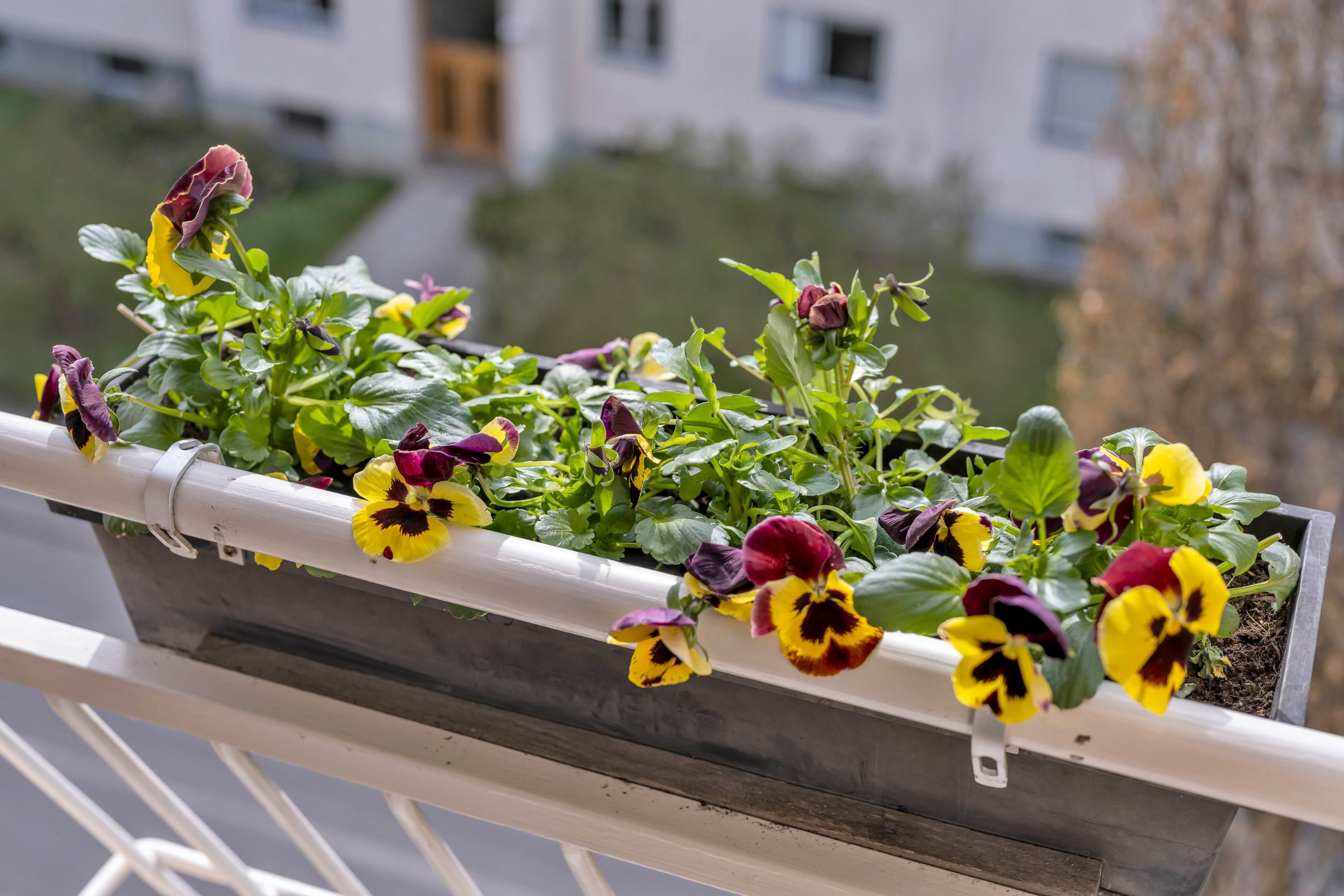 Bostadsbild från Götgatan 10B, Såld i Främre Luthagen, Uppsala