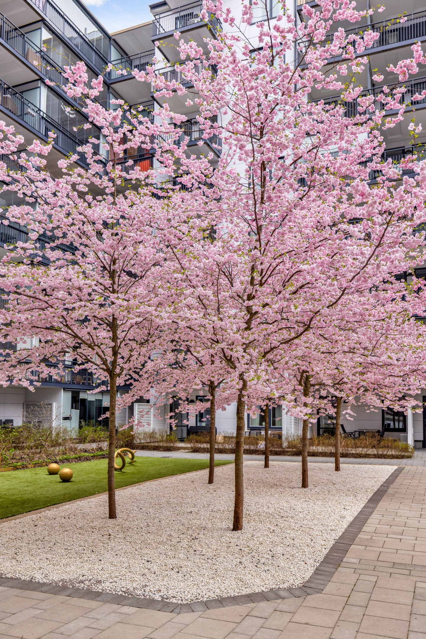 Bostadsbild från Kungsgatan 66A, Såld i Centrum, Uppsala