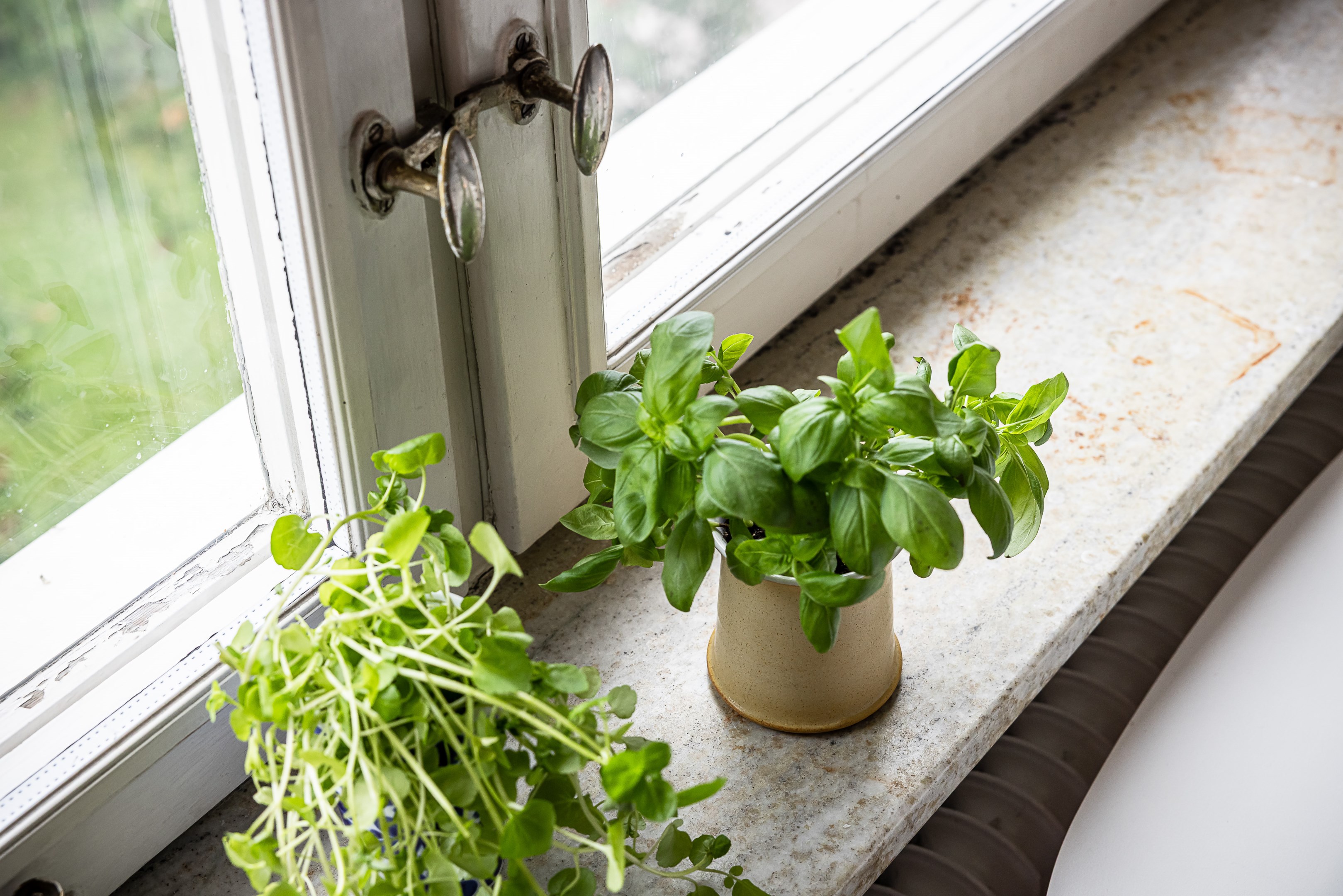 Bostadsbild från Vaksalagatan 38 A, Såld i Höganäs, Uppsala