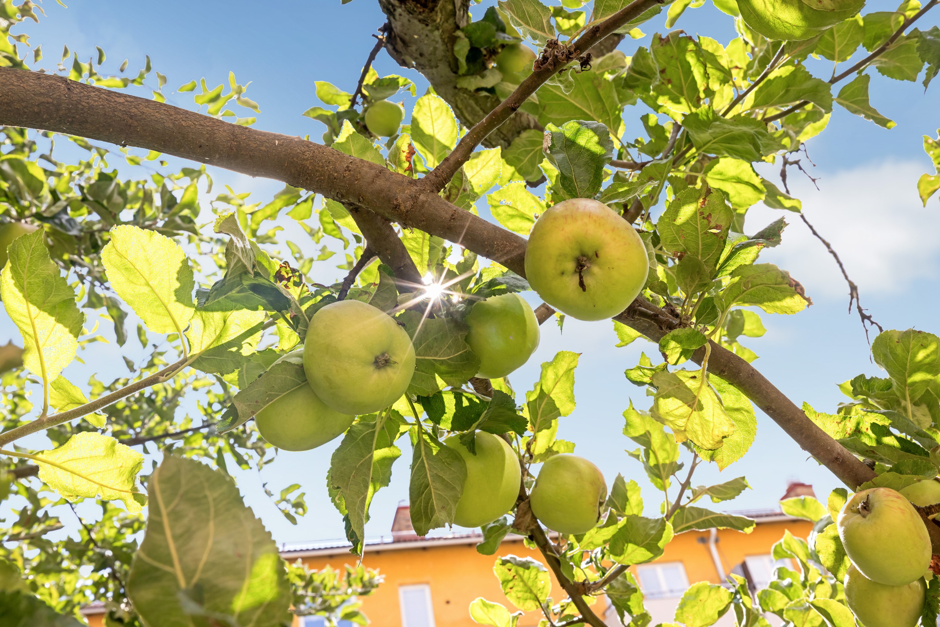 Bostadsbild från Ymergatan 24D, Såld i Fålhagen, Uppsala