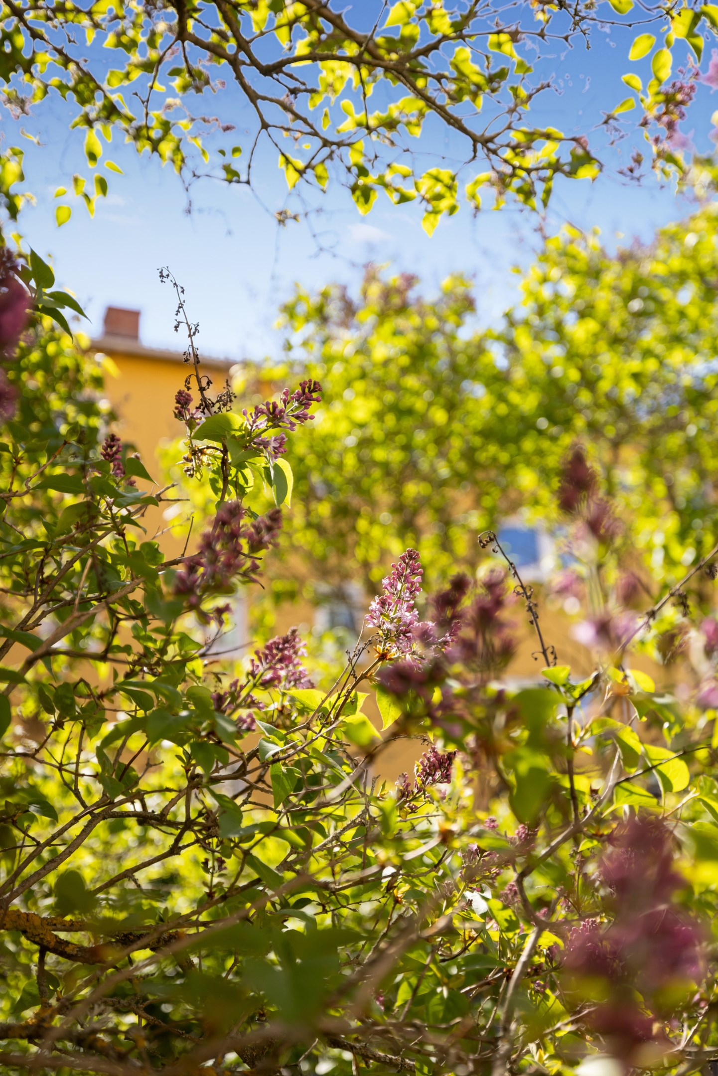 Bostadsbild från Geijersgatan 25A, Såld i Luthagen, Uppsala