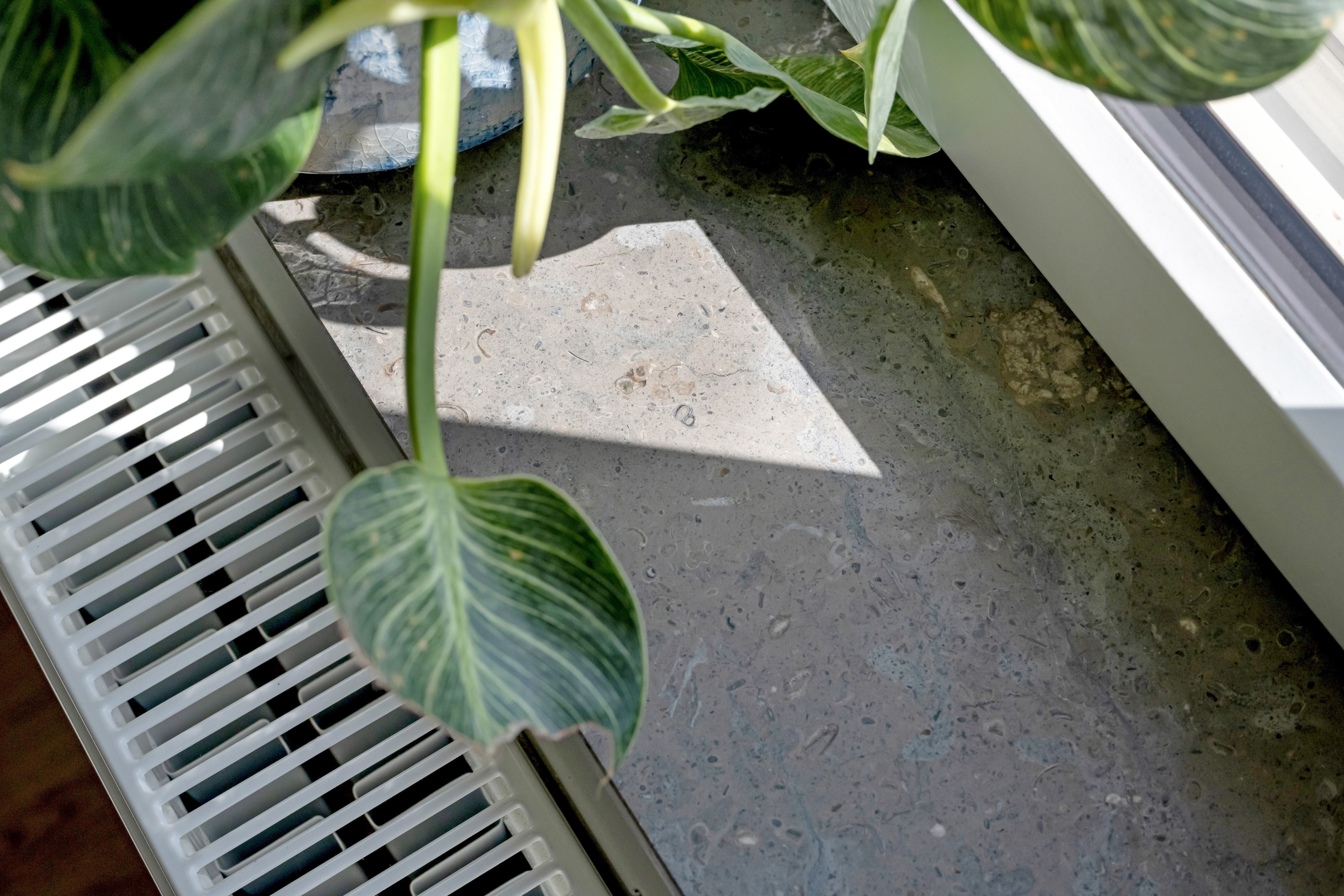 Bostadsbild från Bäcklösavägen 38, Snart till salu i Ultuna, Uppsala