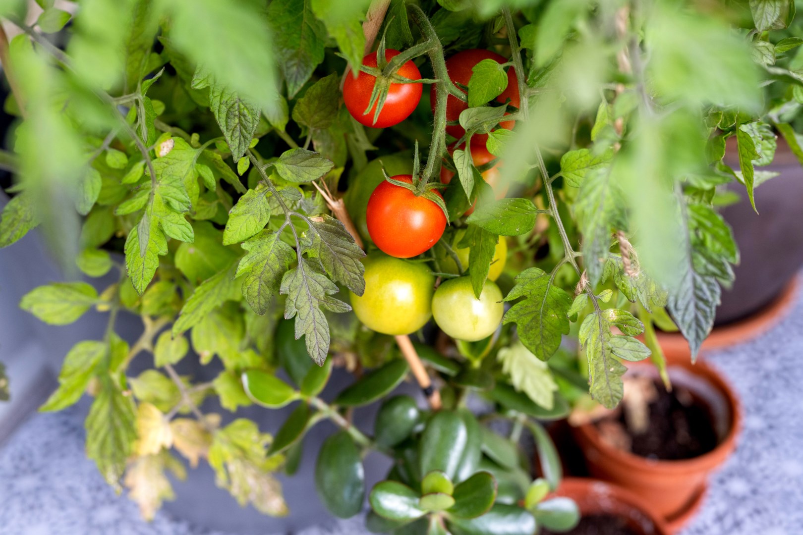 Bostadsbild från Gösta Wahlströms väg 12, Såld i Rickomberga, Uppsala