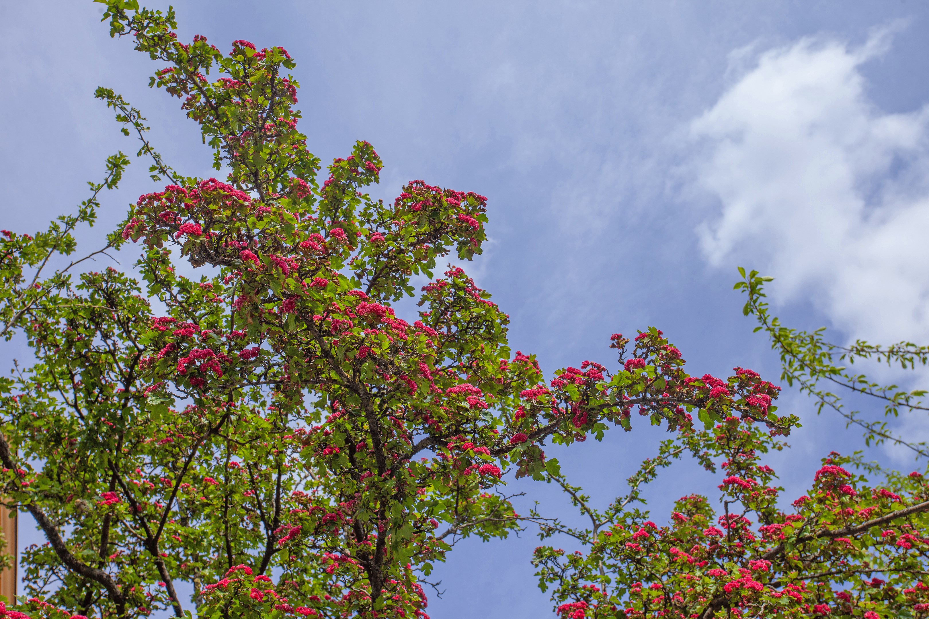 Bostadsbild från Mariebergsgatan 30, 7 tr, Såld i Kungsholmen, Stockholm