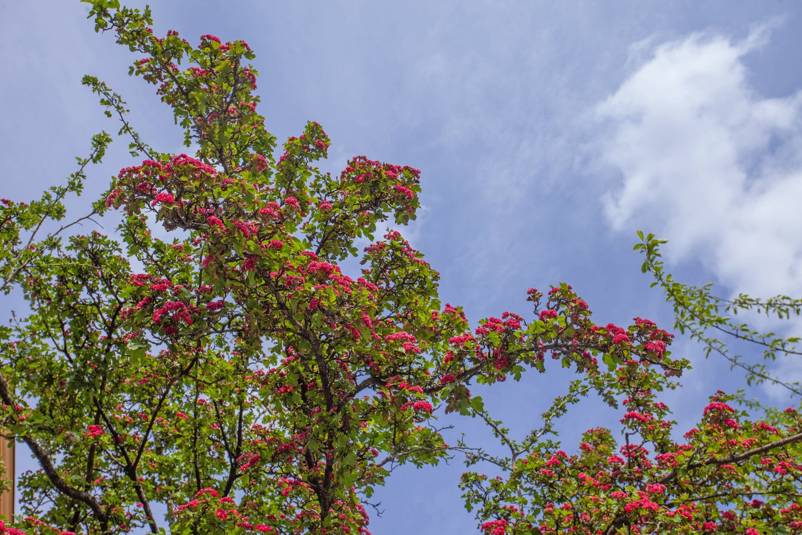Bostadsbild från Mariebergsgatan 30, 7 tr, Såld i Kungsholmen, Stockholm
