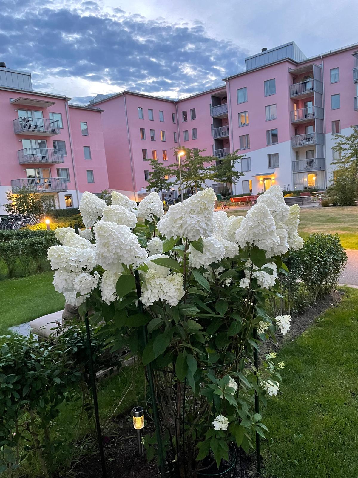 Bostadsbild från Maja Snis gata 2, Såld i Porslinskvarteren, Värmdö